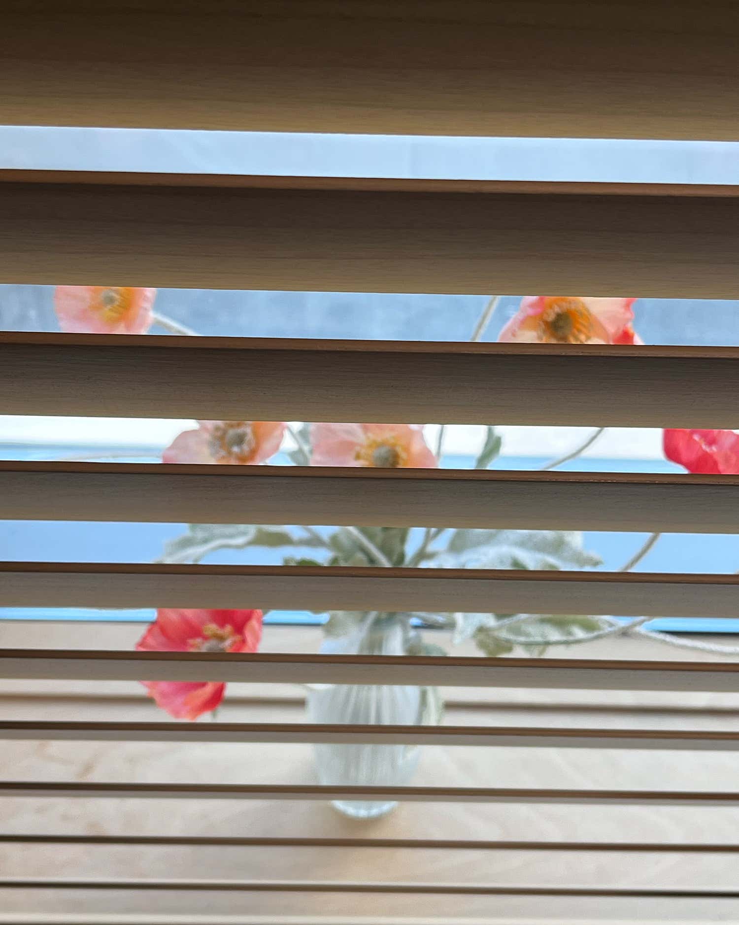 2번째 스튜디오 사진