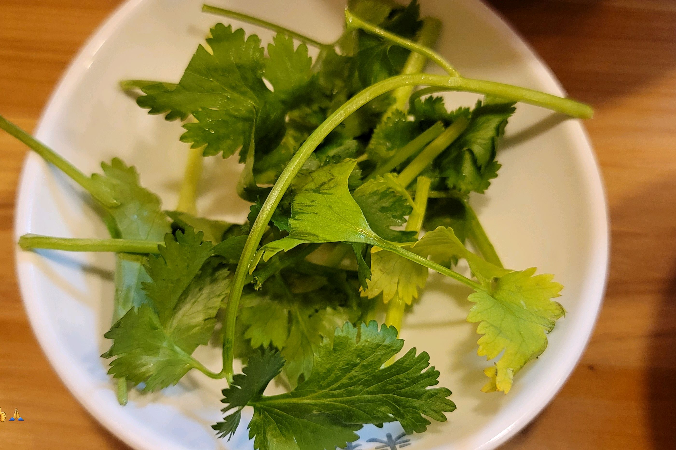 이젠,쌀국수 생각나면 떠오르는곳. - 문래동 맛집 미분당 문래점