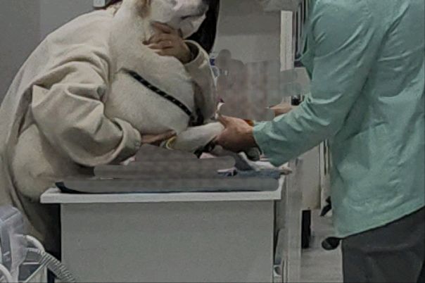 리뷰 사진 2