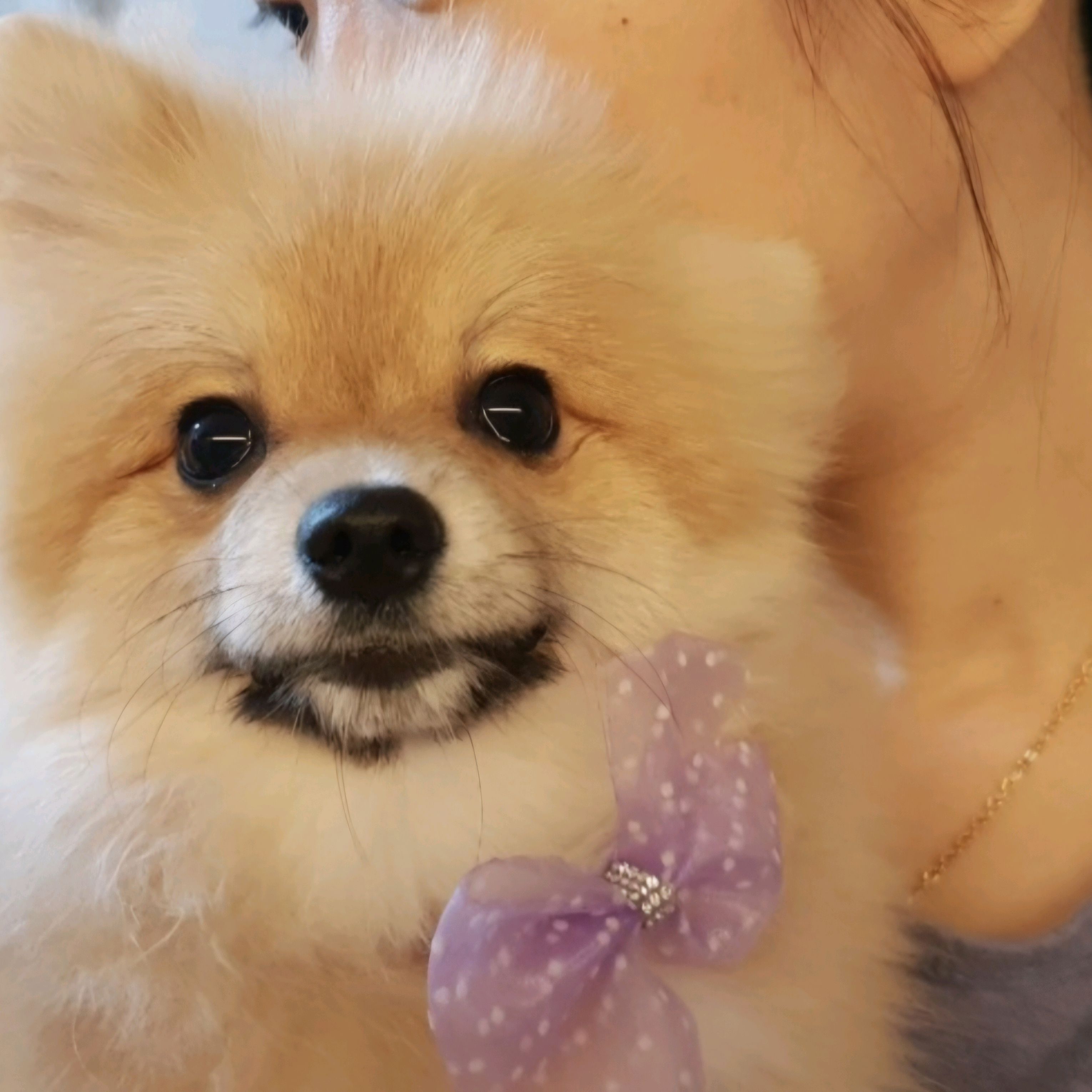 리뷰 사진 1