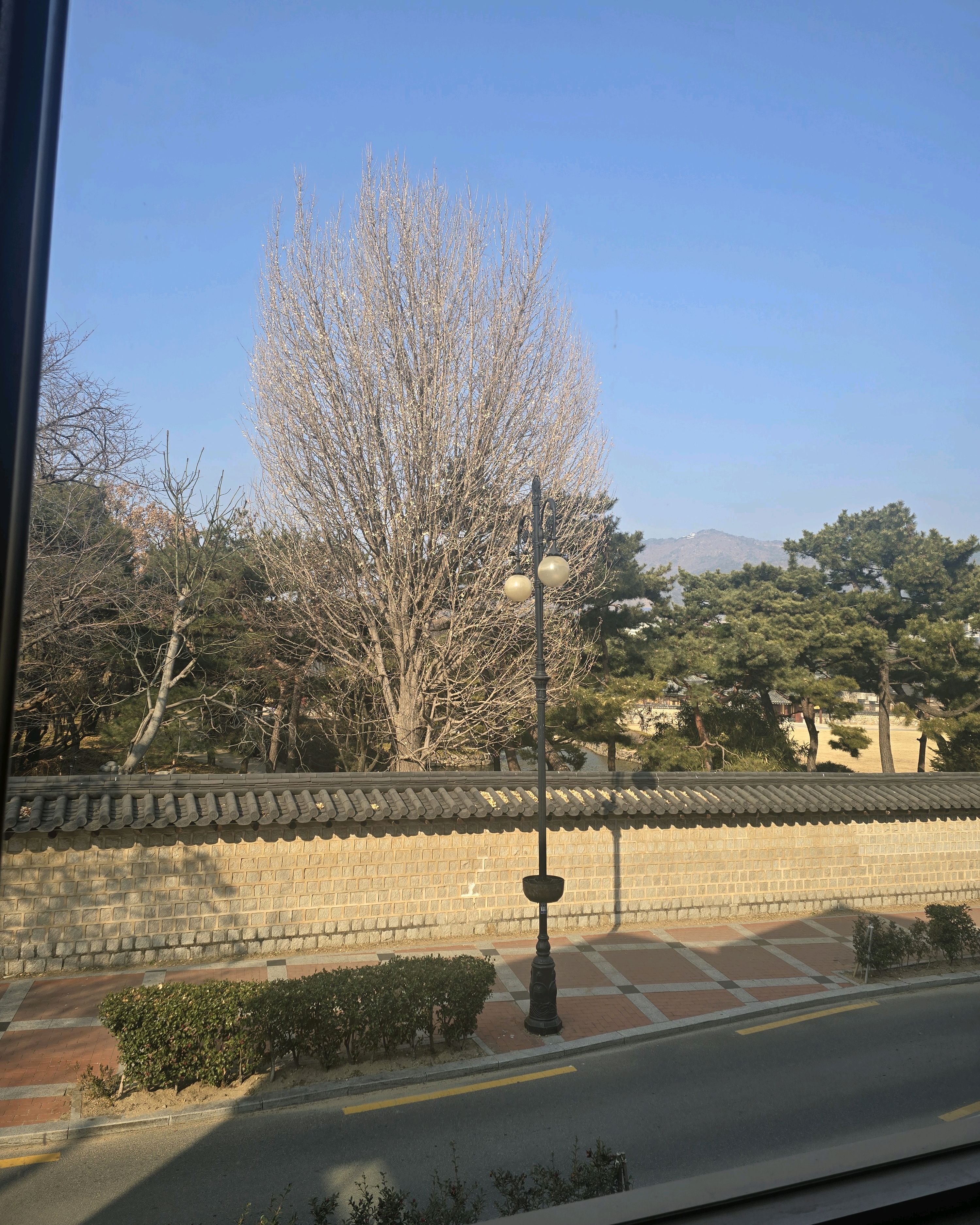 [김해 맛집 해이담커피&해이담로스터스] 직접 가본 로컬 리뷰
