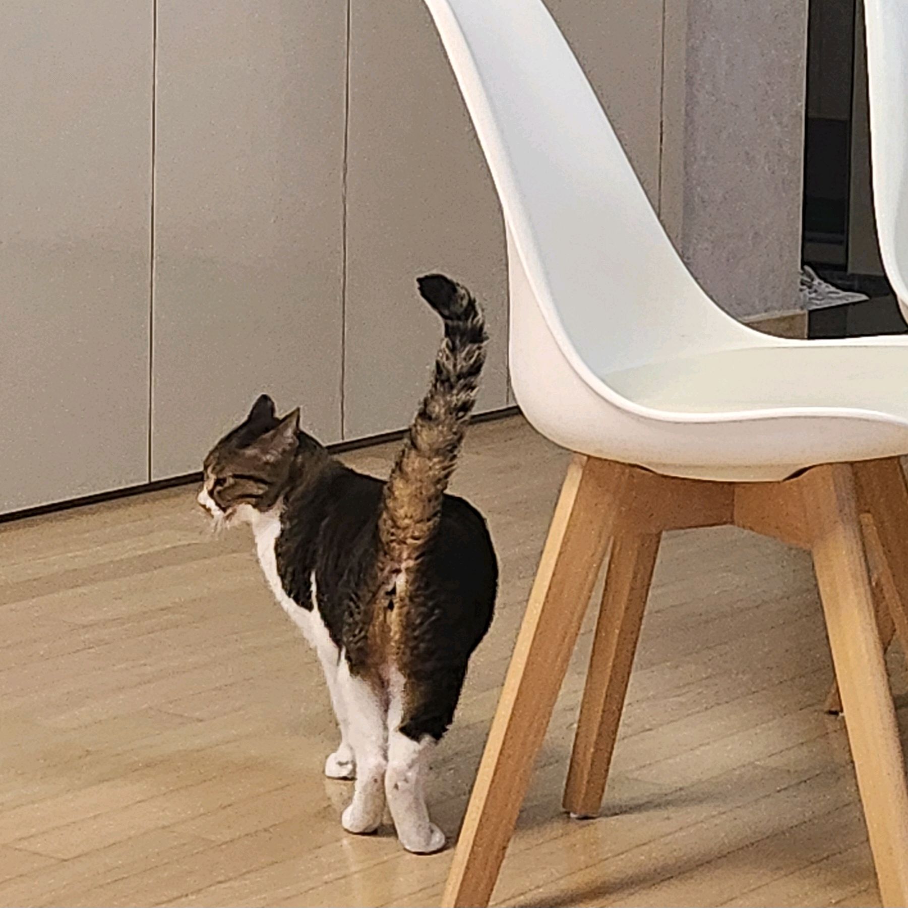 리뷰 사진 1