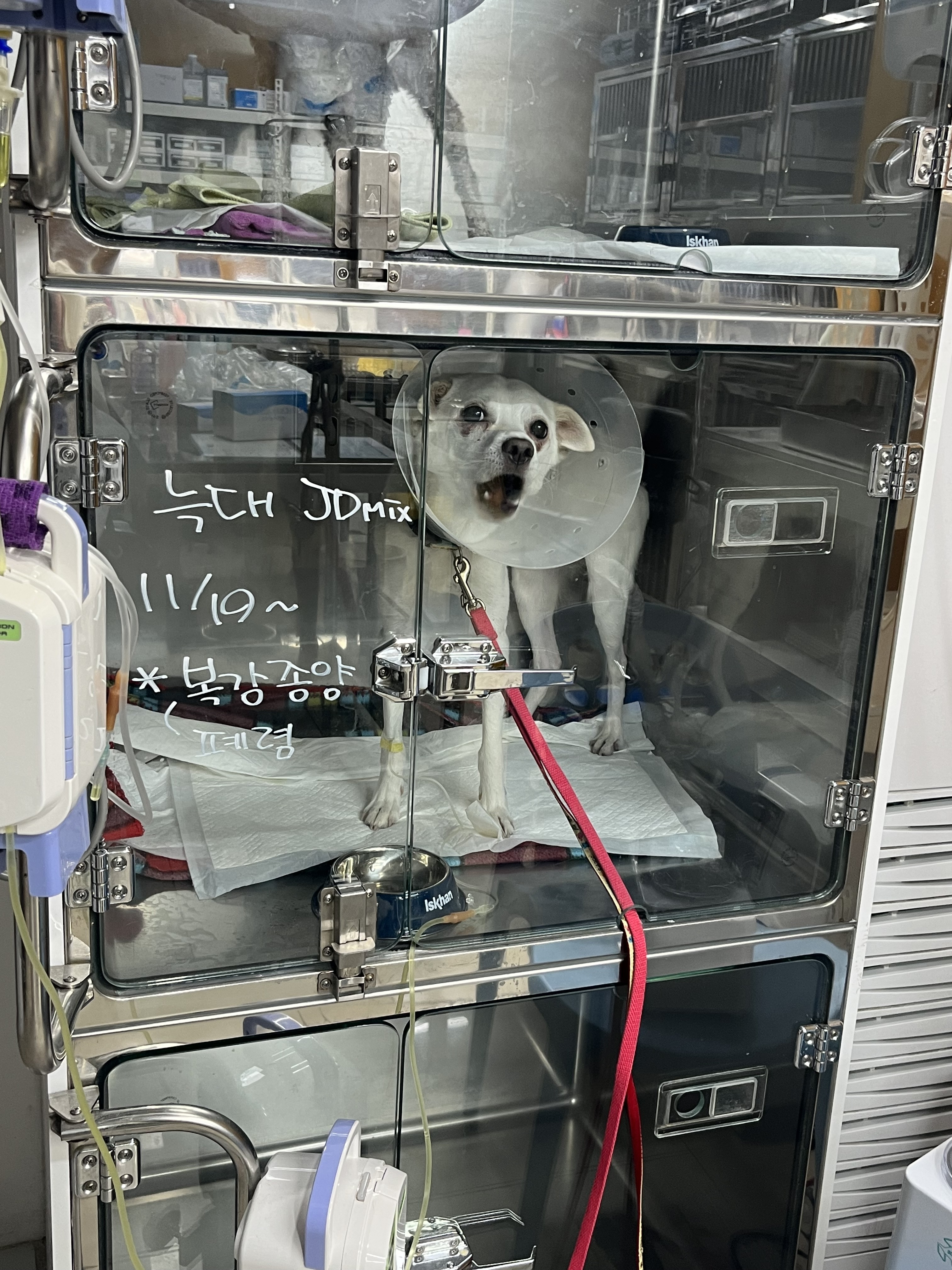 리뷰 사진 3