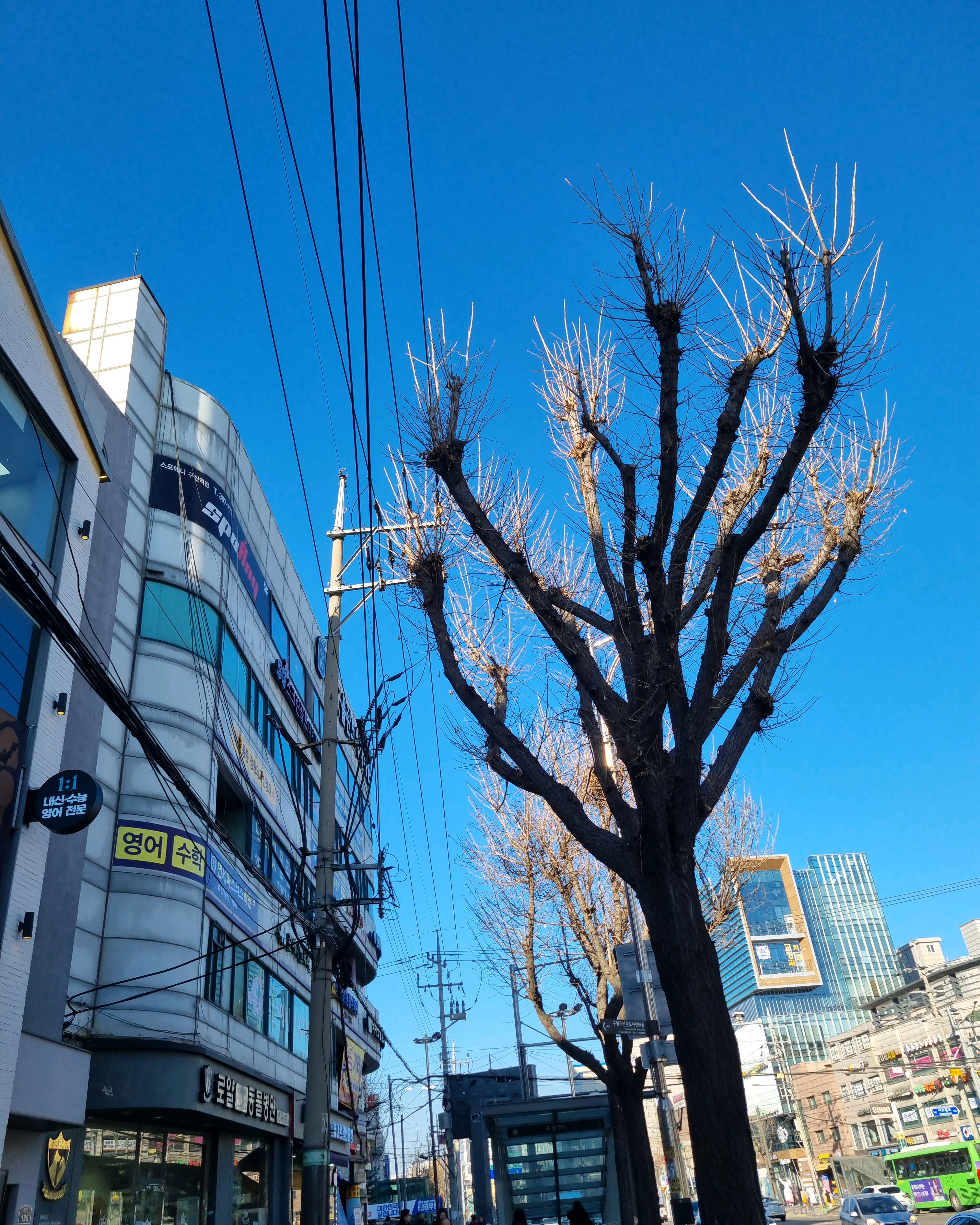 리뷰 사진 1