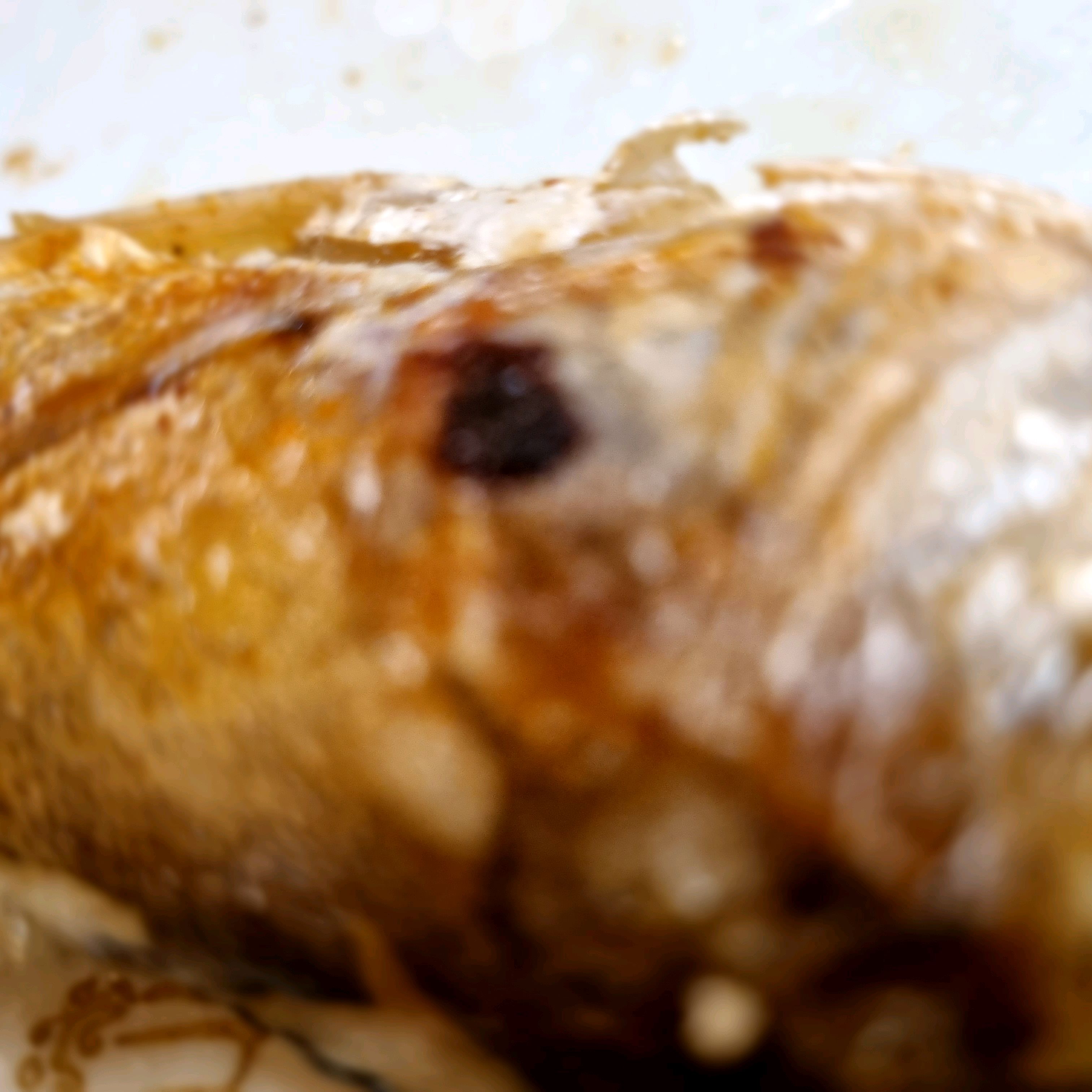 [김해 맛집 못난이가마솥순두부] 직접 가본 로컬 리뷰