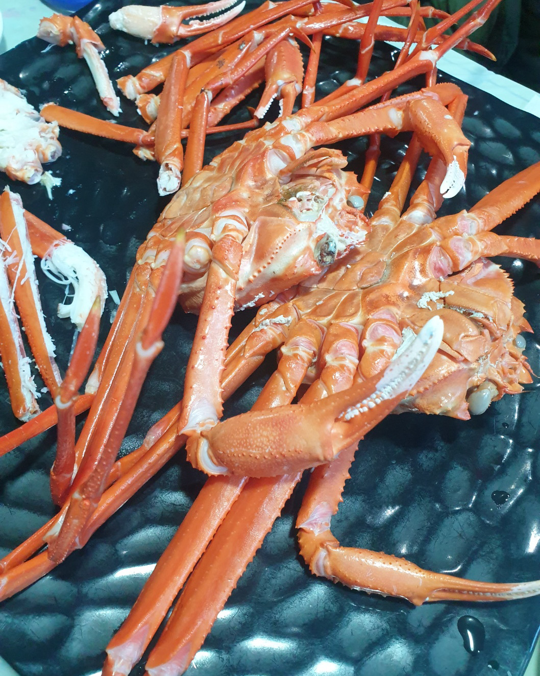 수족관에서 빼온 싱싱한 홍게를 배불리 먹을수 있어요! 사장님이 먹는방법 친절하게 설명해주시