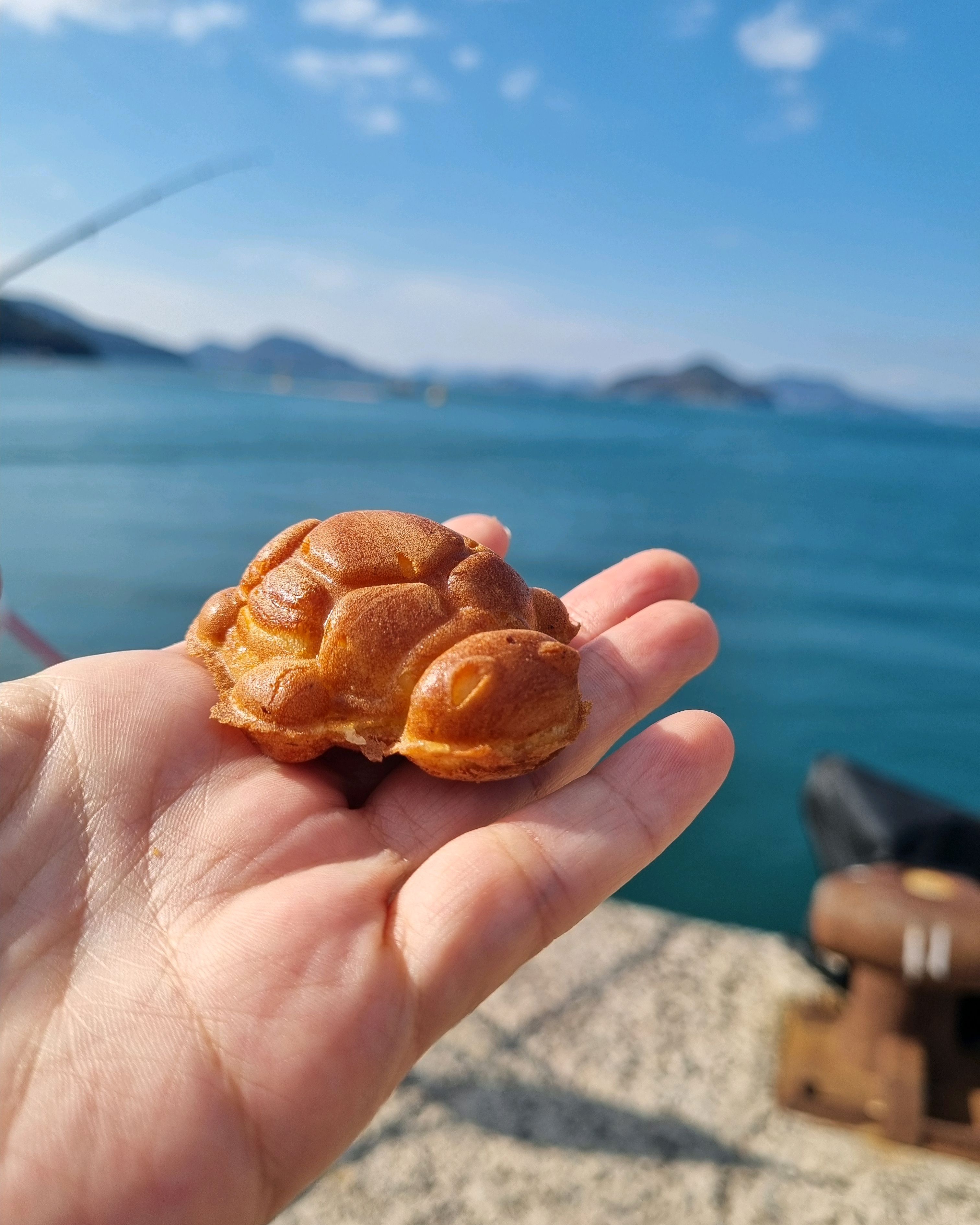 [여수 맛집 거북이수제바게트] 직접 가본 로컬 리뷰