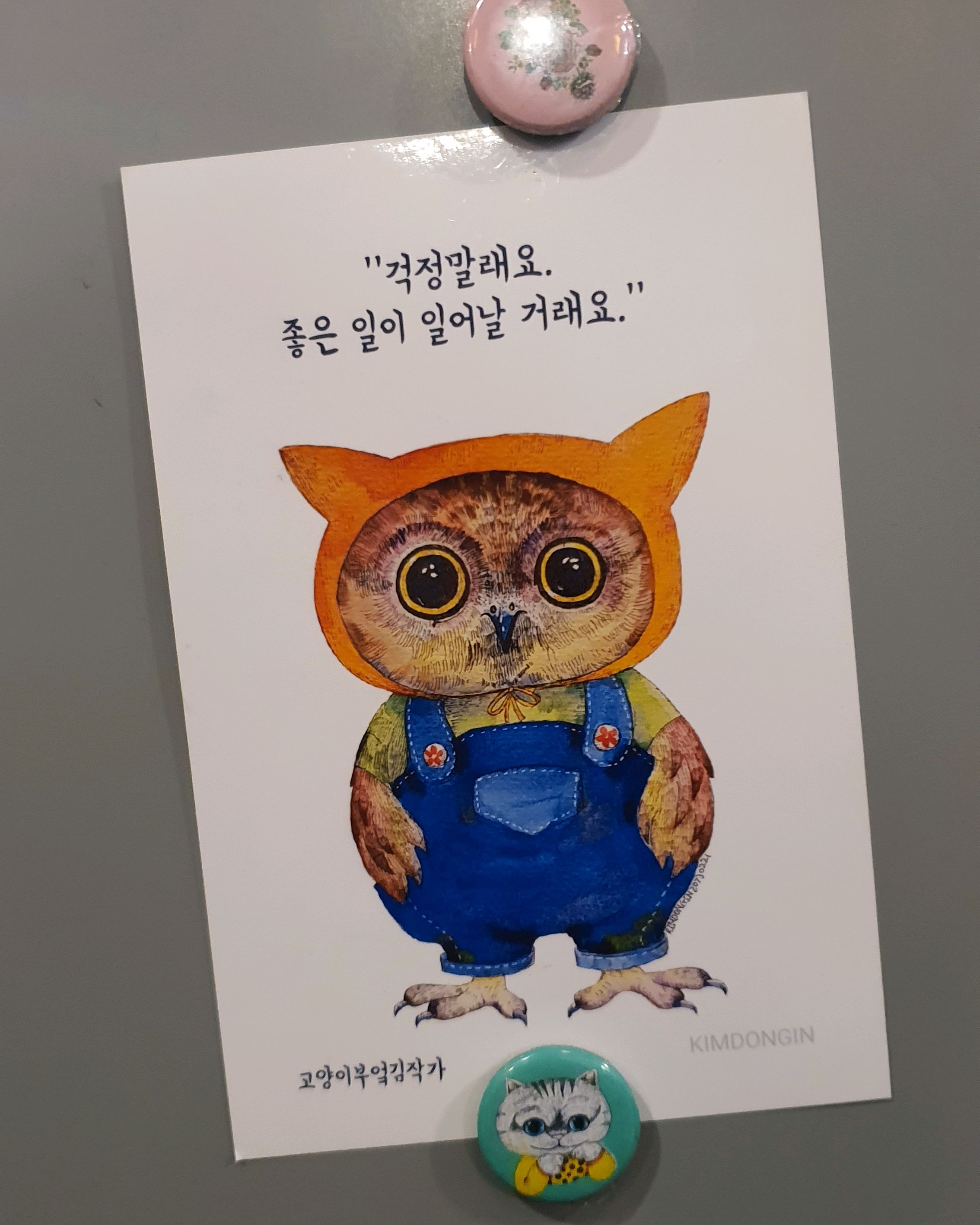 정자역 맛집 고양이부엌 내돈내산 찐리뷰