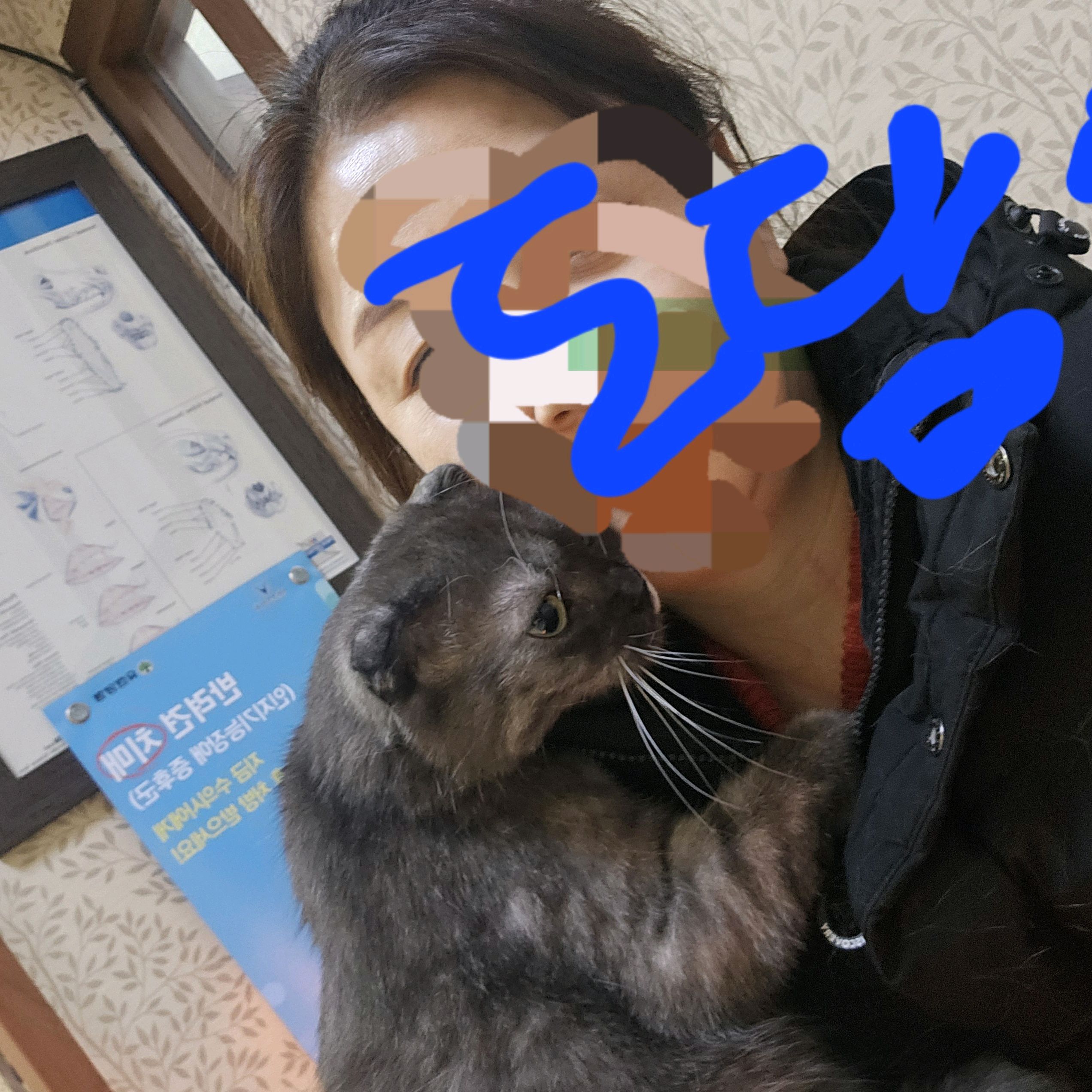 햇살동물병원 사진 2
