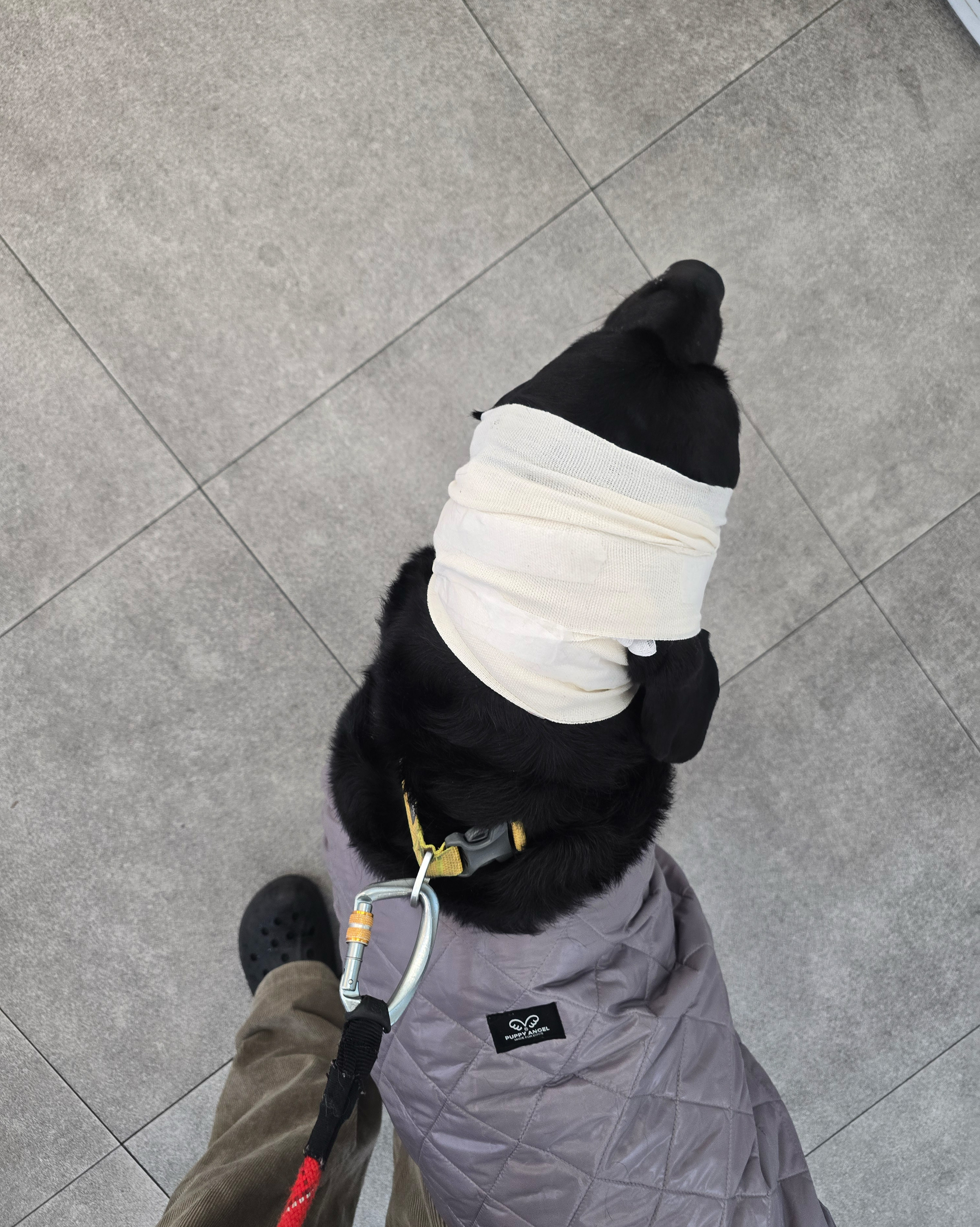리뷰 사진 2