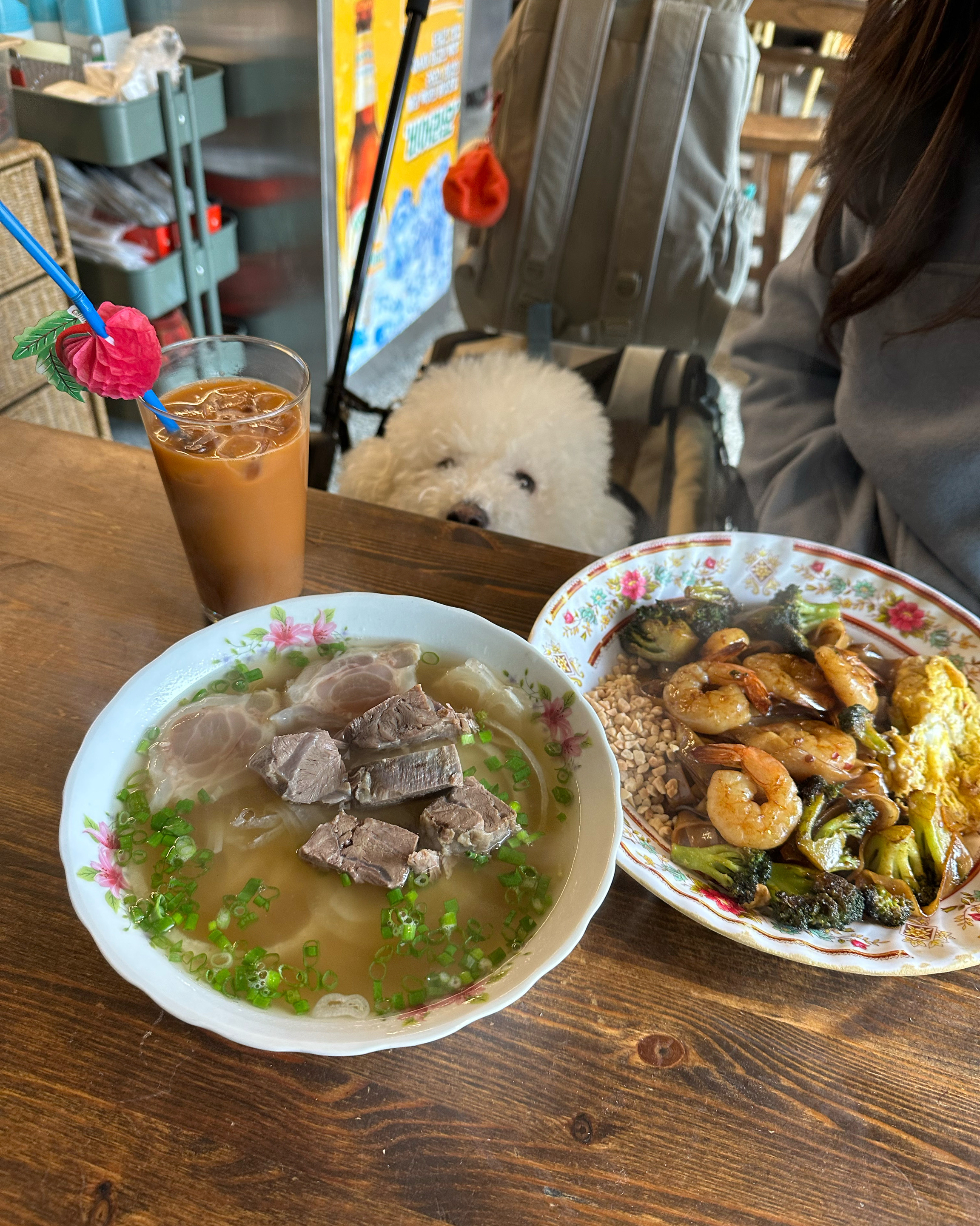 사장님이 엄청 좋으시고 음식도 맛나요~ 볶음면이랑 새우튀김을 꼭 드세요 강아지가 있어도 편