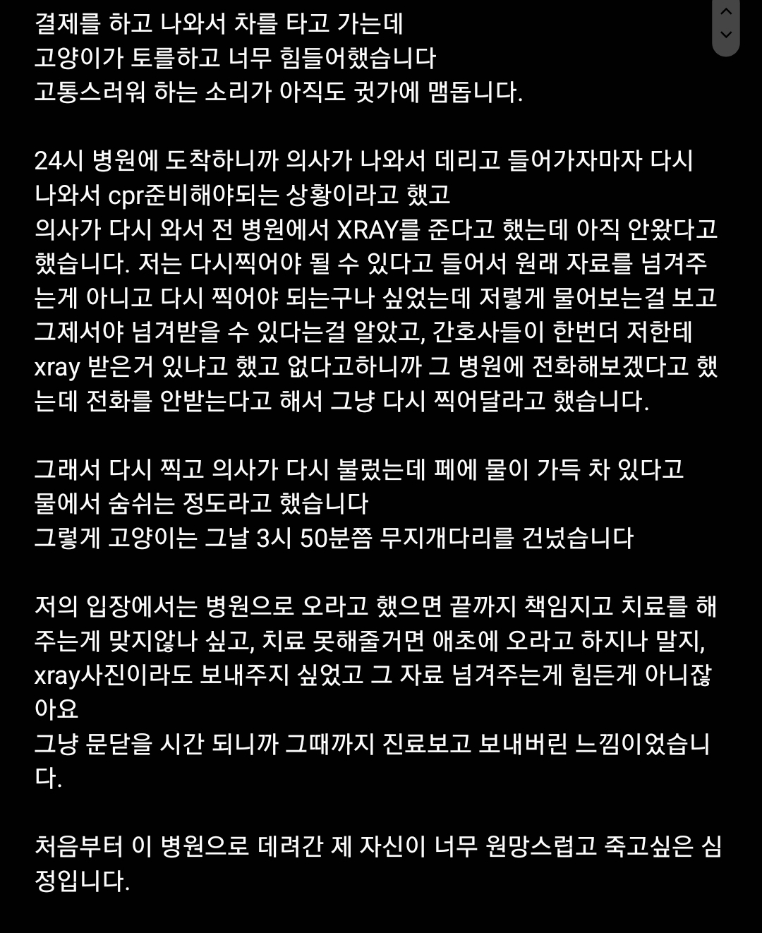 리뷰 사진 1