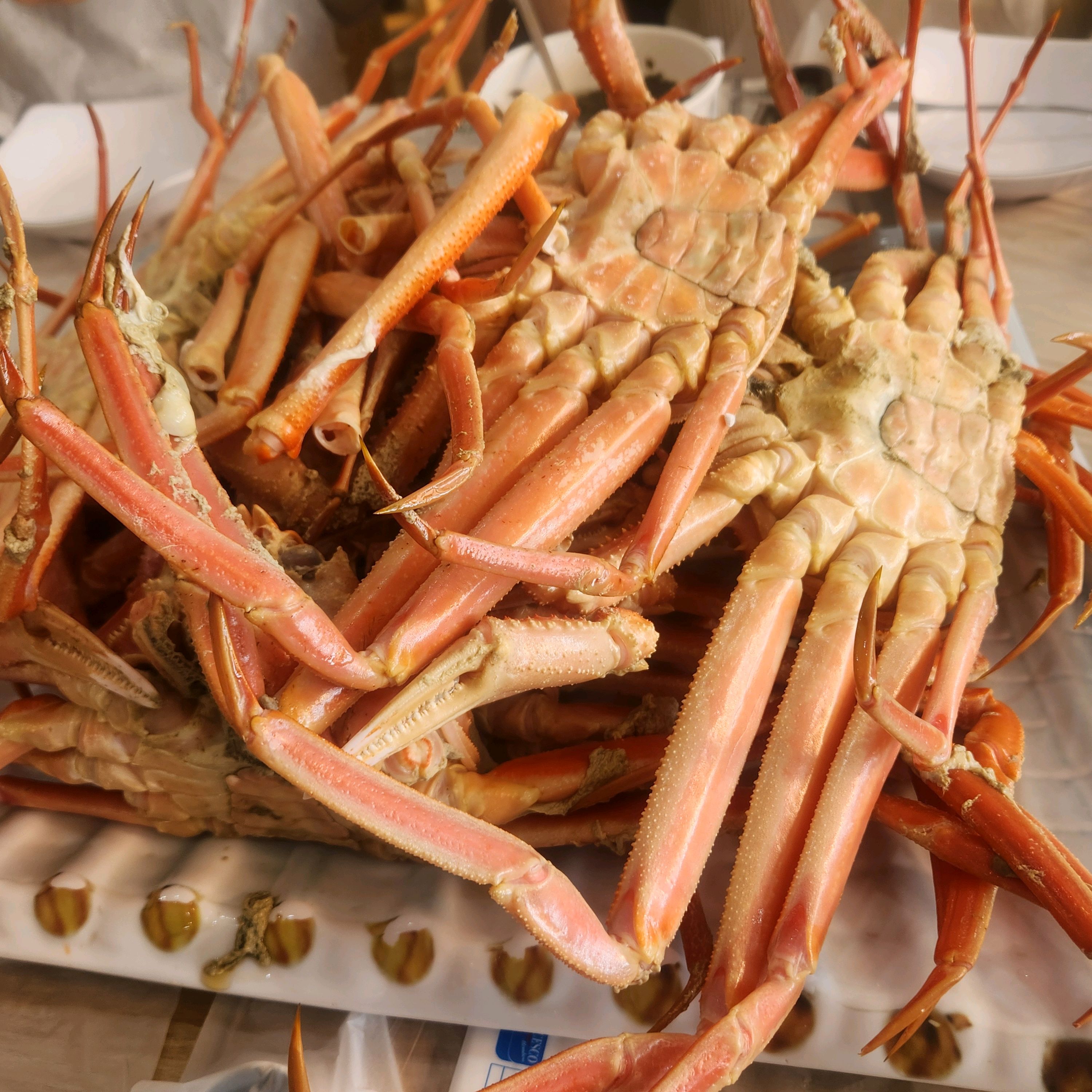 [삼척 맛집 동남호대게] 직접 가본 로컬 리뷰
