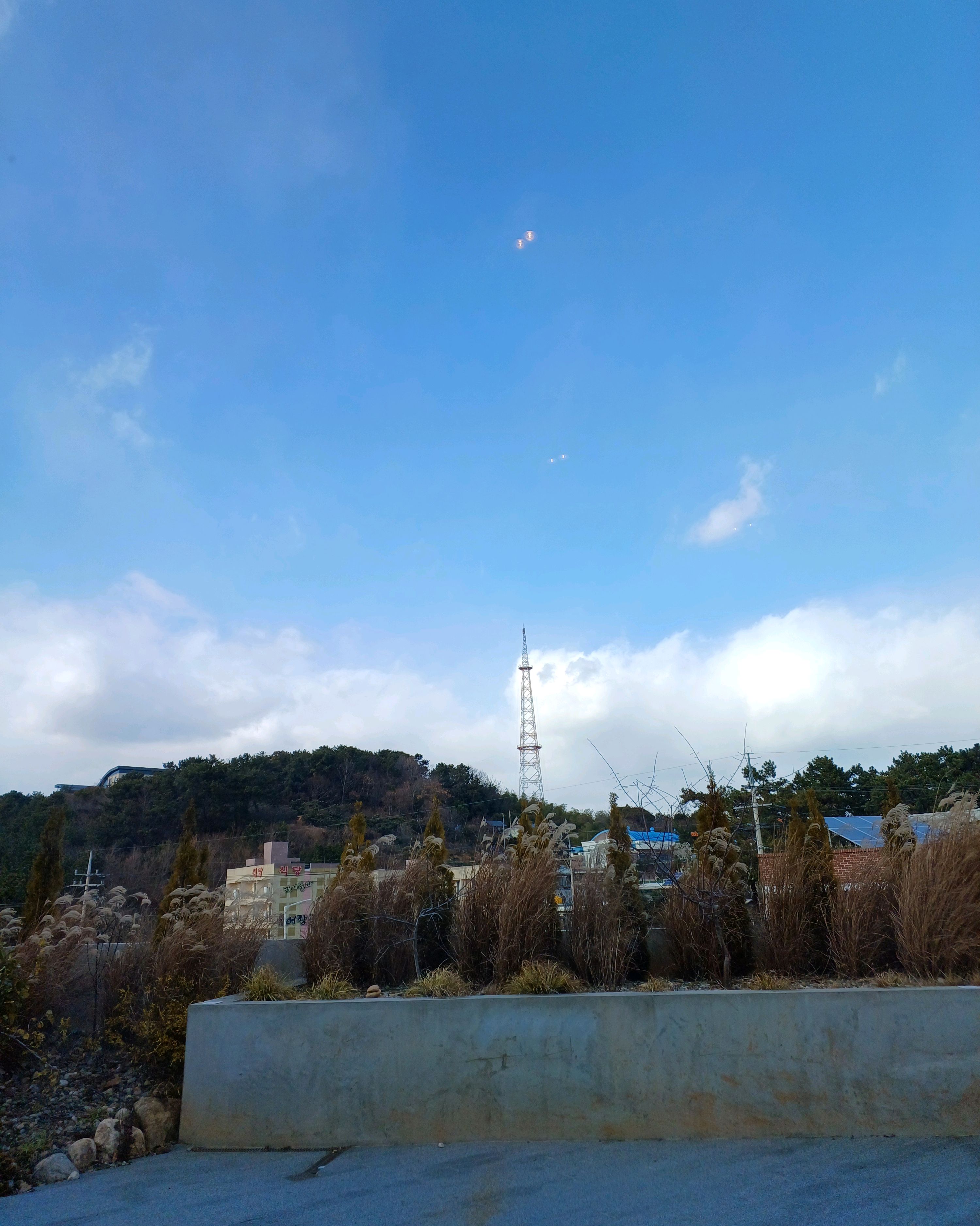 [여수 맛집 스타벅스 더여수돌산DT점] 직접 가본 로컬 리뷰