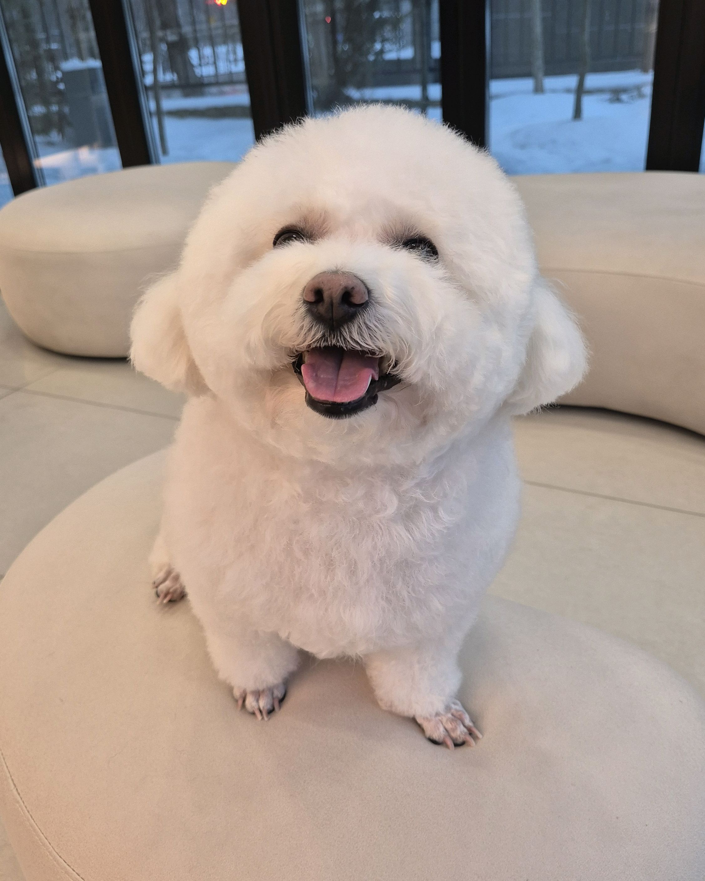 리뷰 사진 3