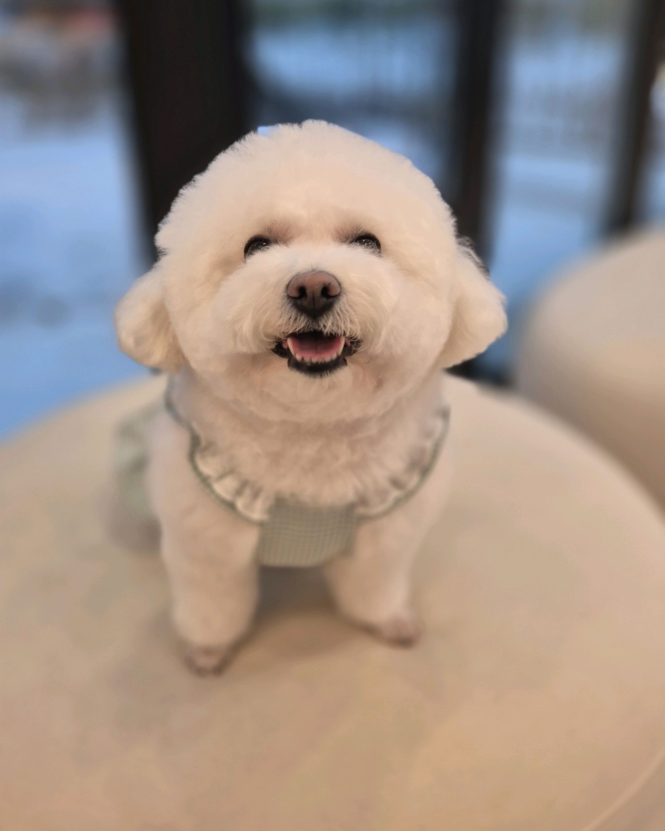 리뷰 사진 1
