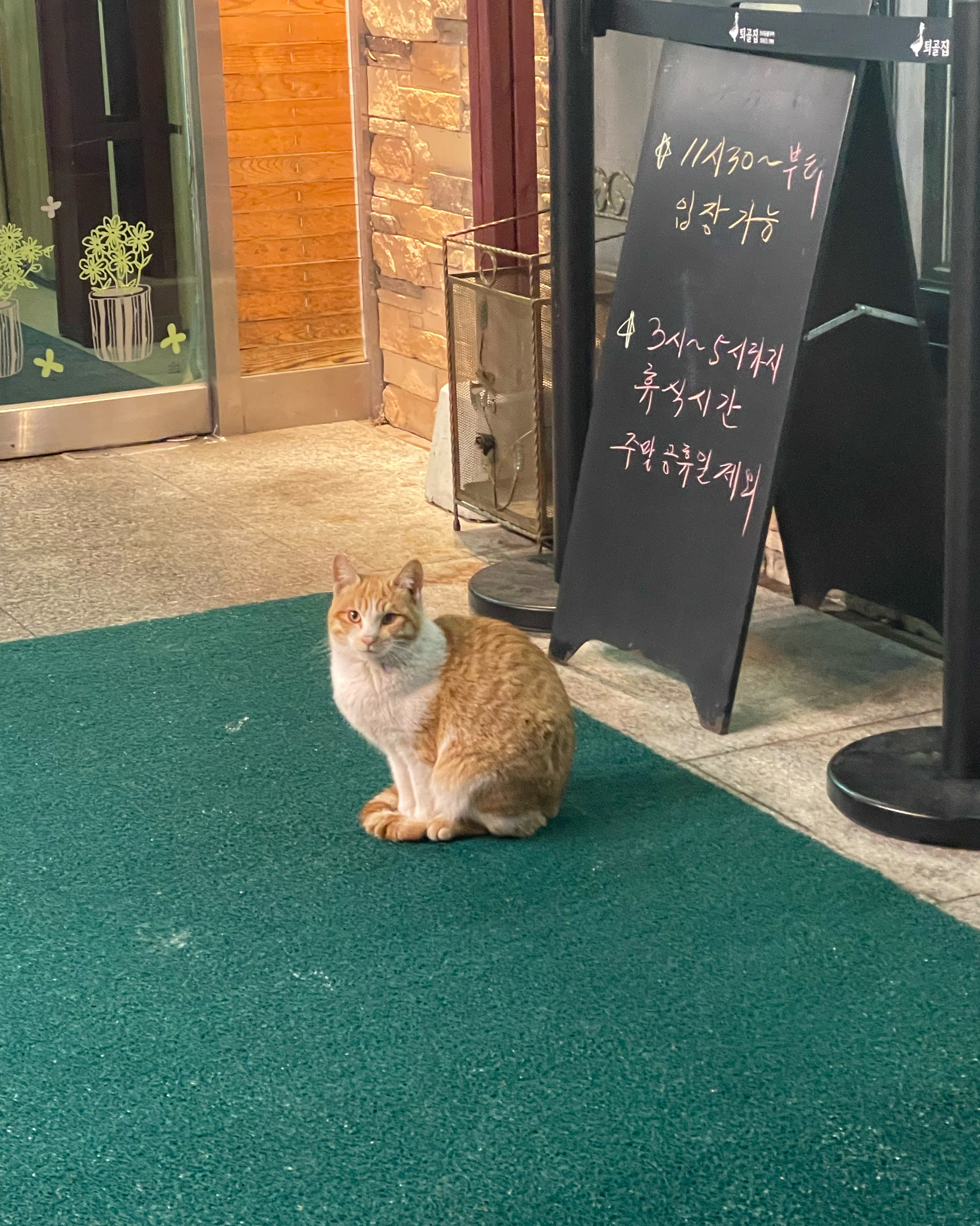 [춘천 맛집 툇골오리 본점] 직접 가본 로컬 리뷰