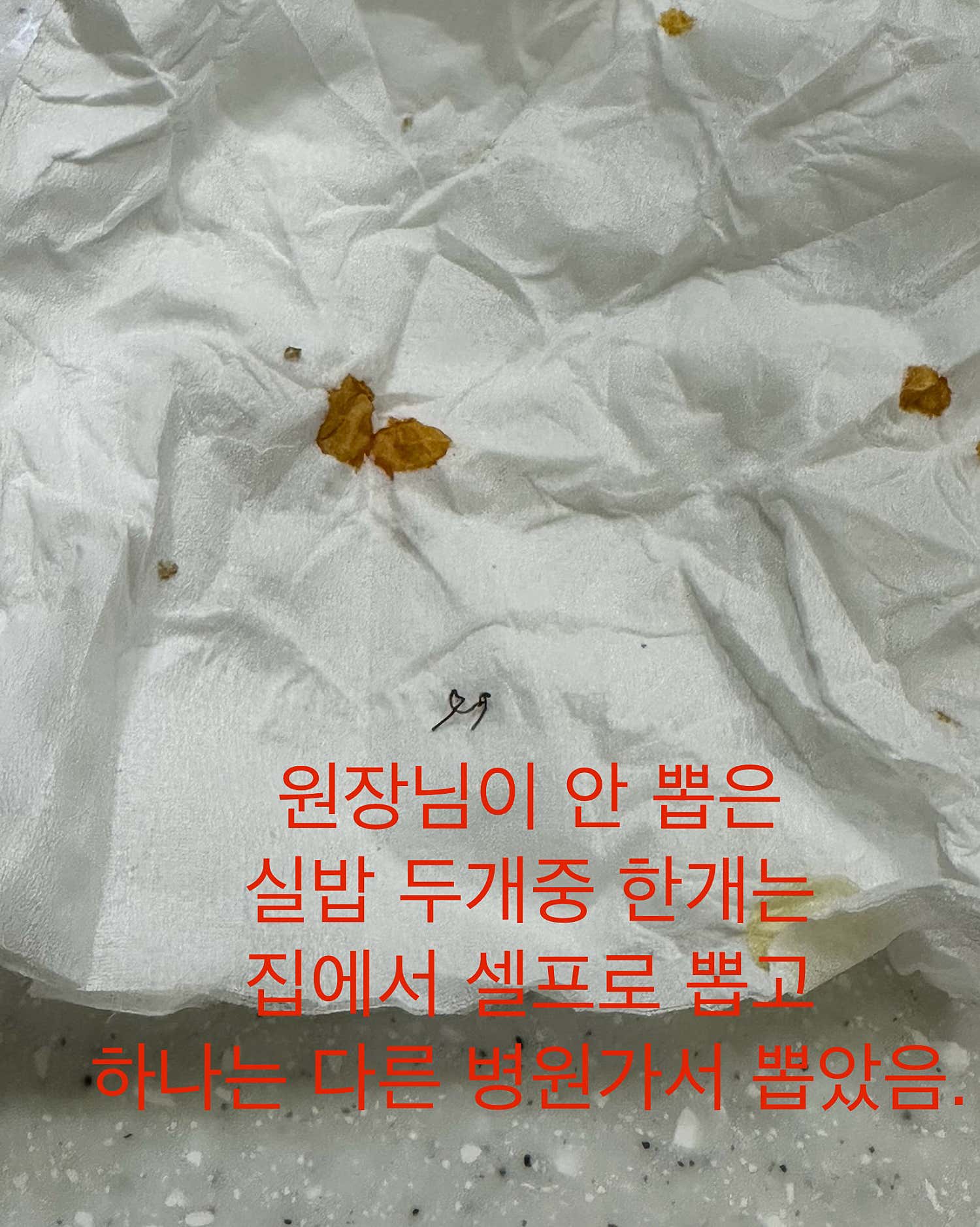 김의원