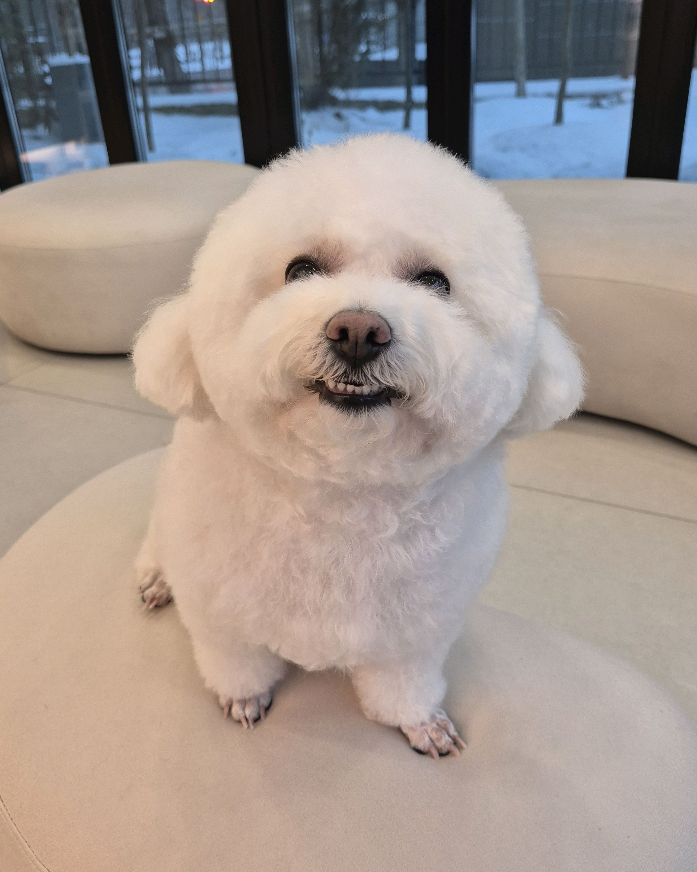 리뷰 사진 2