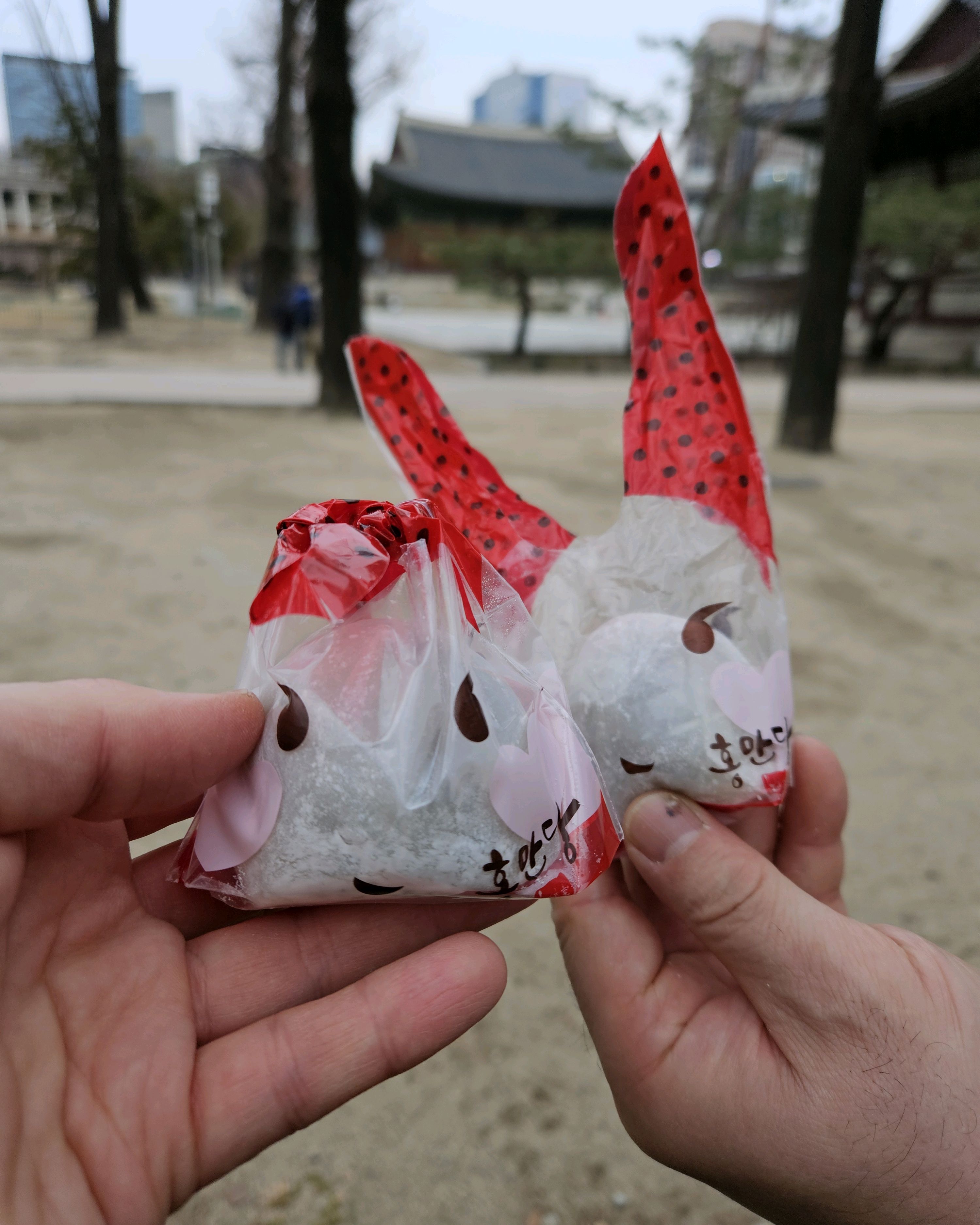 [명동 맛집 홍만당 명동본점] 직접 가본 로컬 리뷰