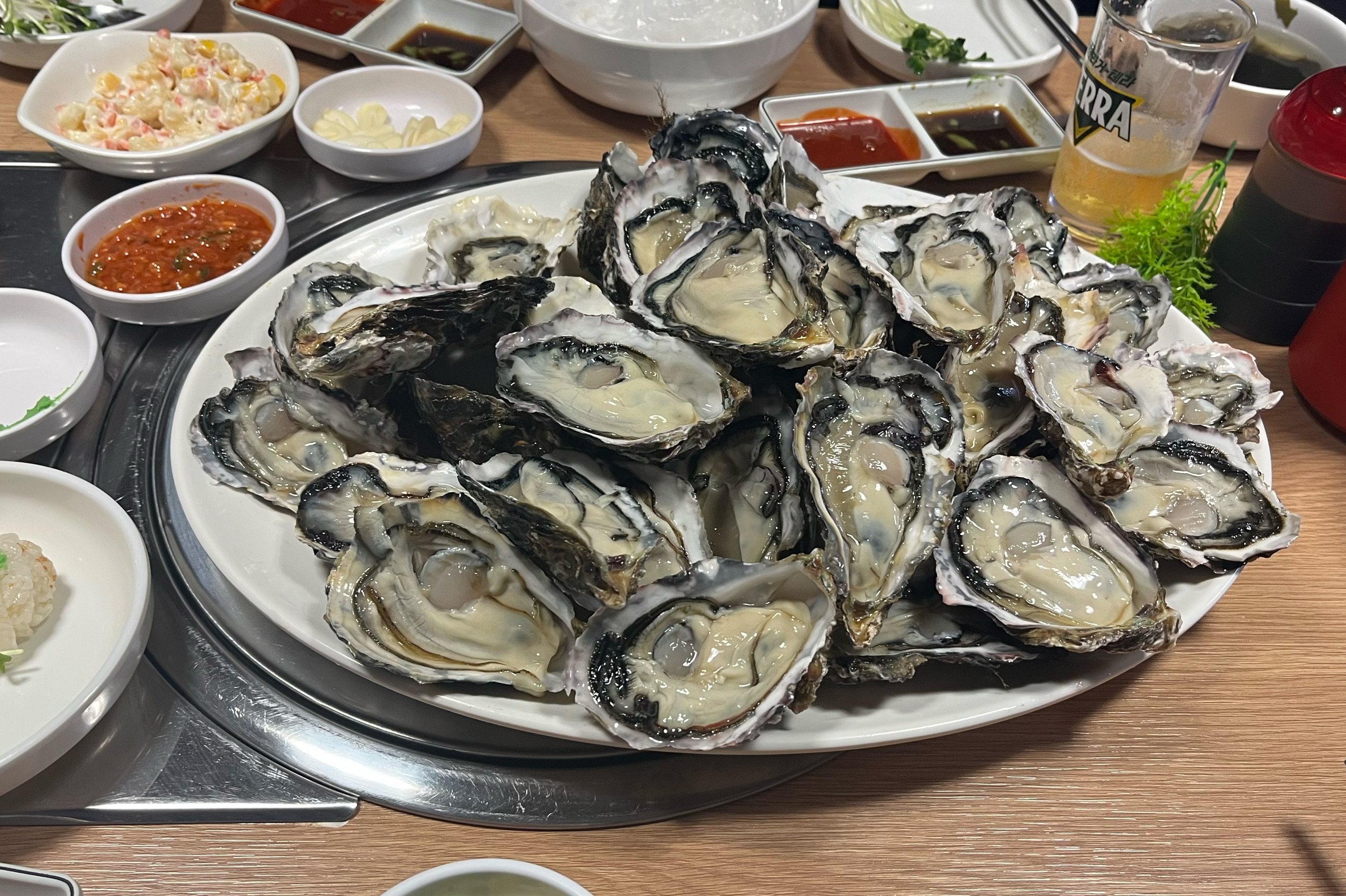 오리역 맛집 포항물회종합어시장 내돈내산 방문후기