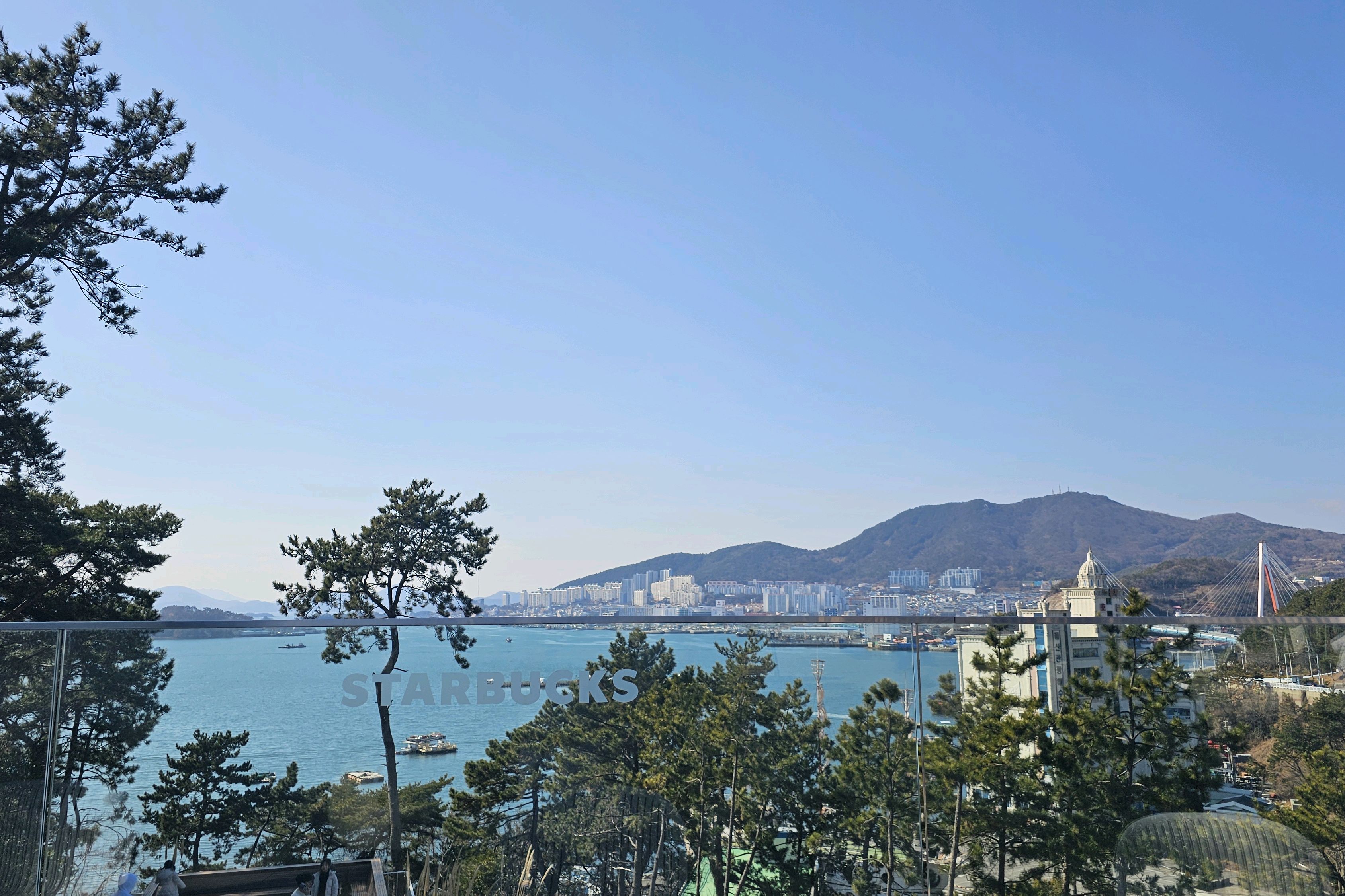 [여수 맛집 스타벅스 더여수돌산DT점] 직접 가본 로컬 리뷰