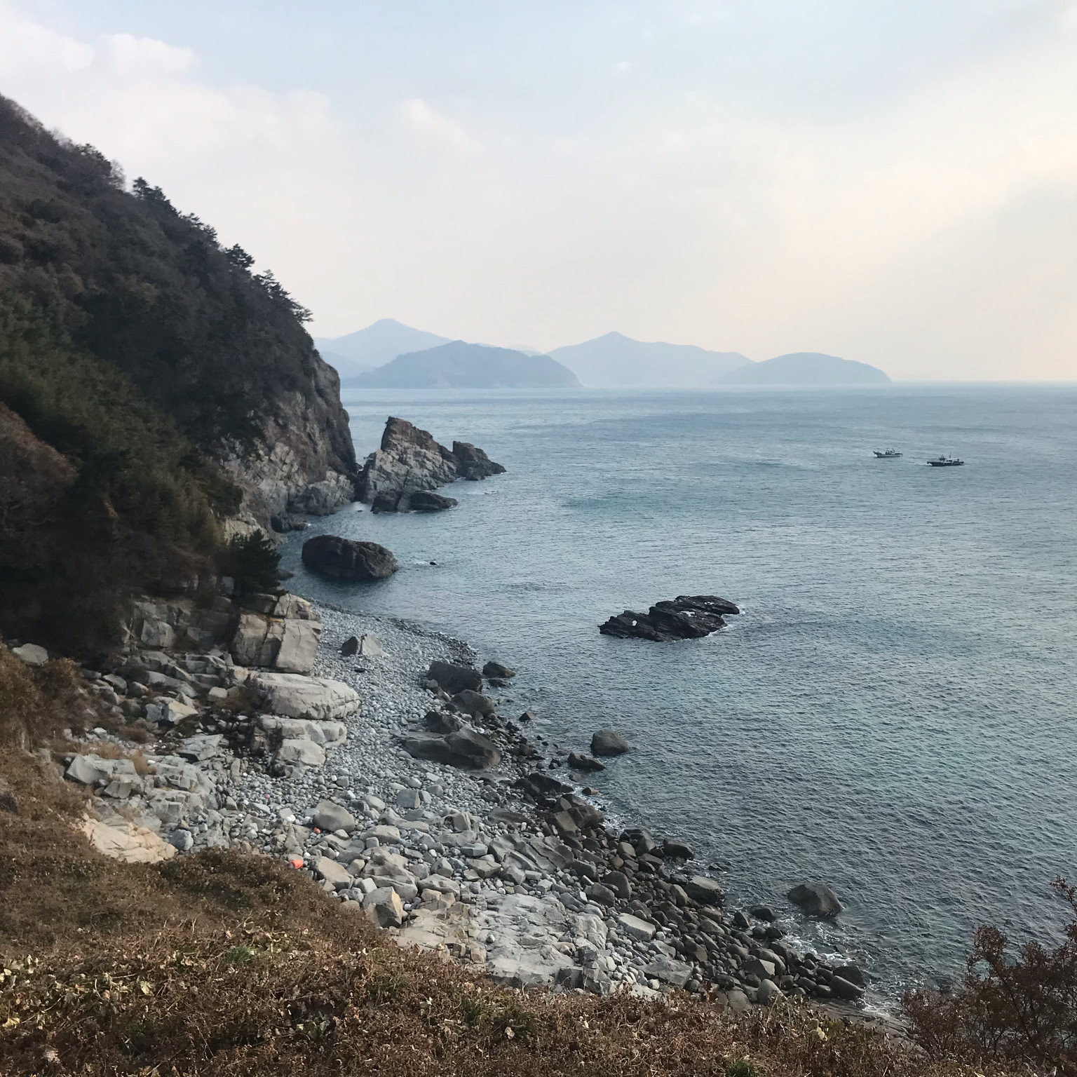 [여수 맛집 노랑고래 찹쌀꽈배기 여수 중앙점] 직접 가본 로컬 리뷰