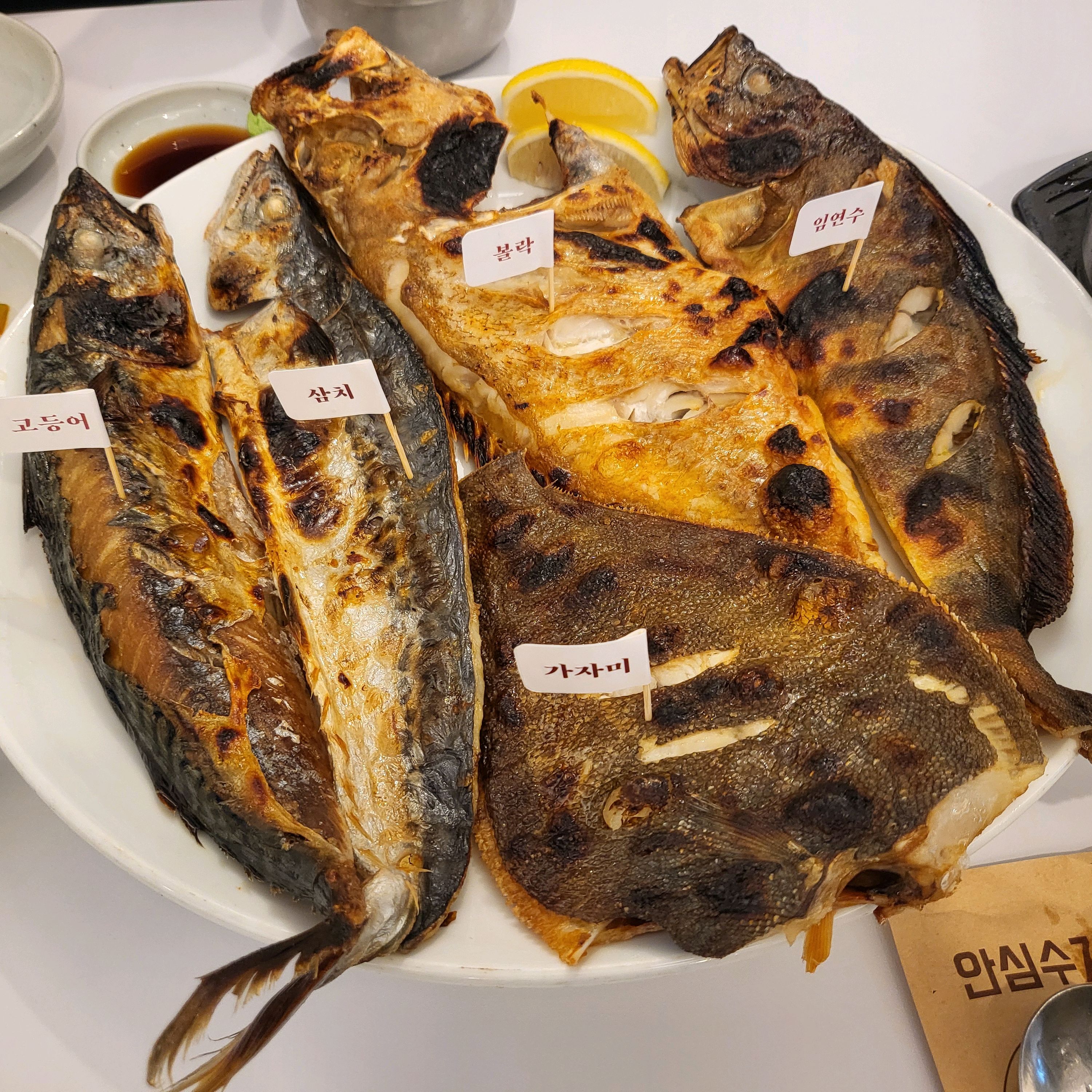정자역 맛집 생선선생 내돈내산 찐리뷰