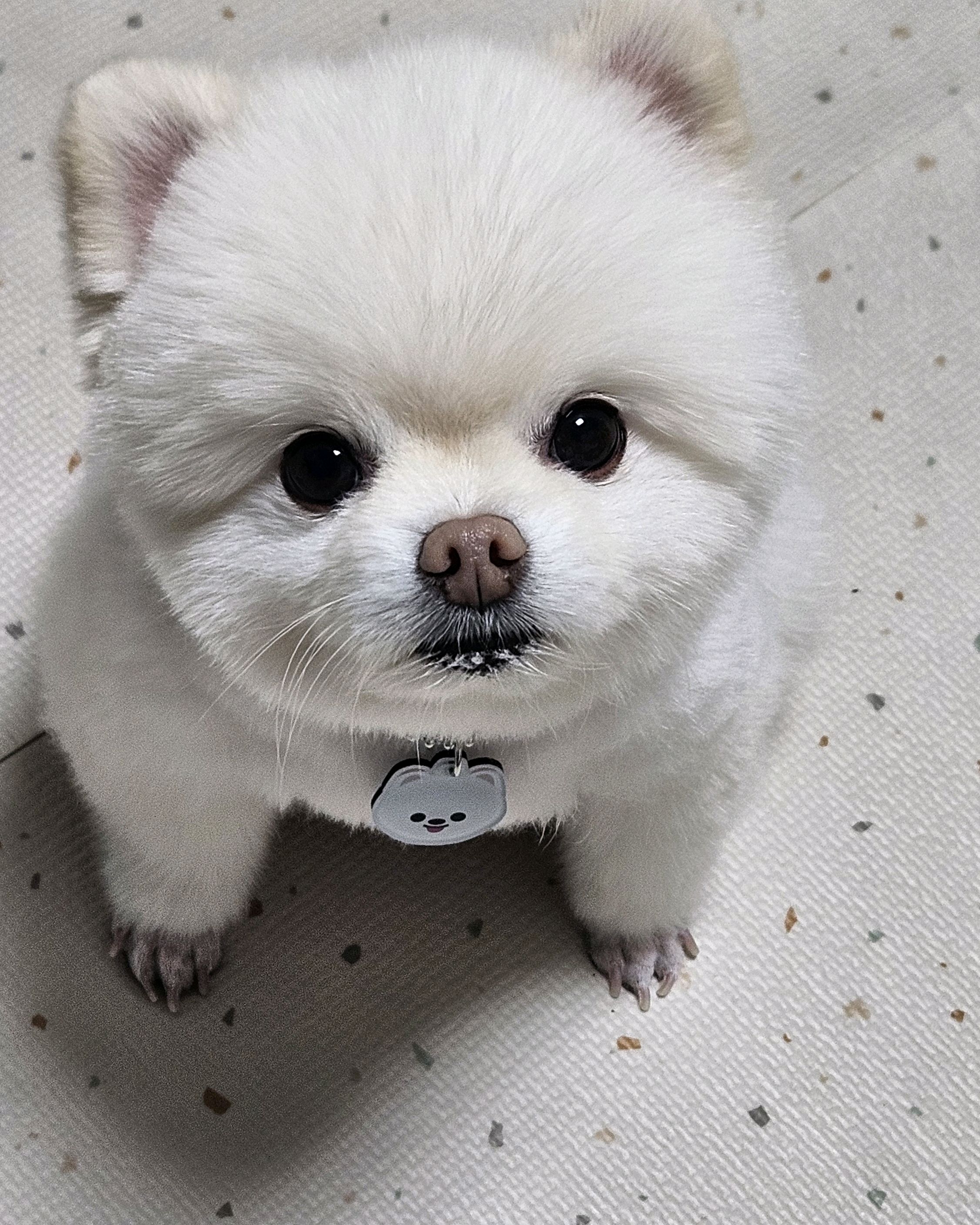 리뷰 사진 1