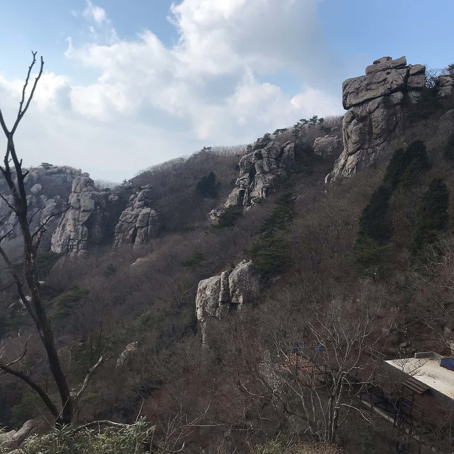 수일침한의원