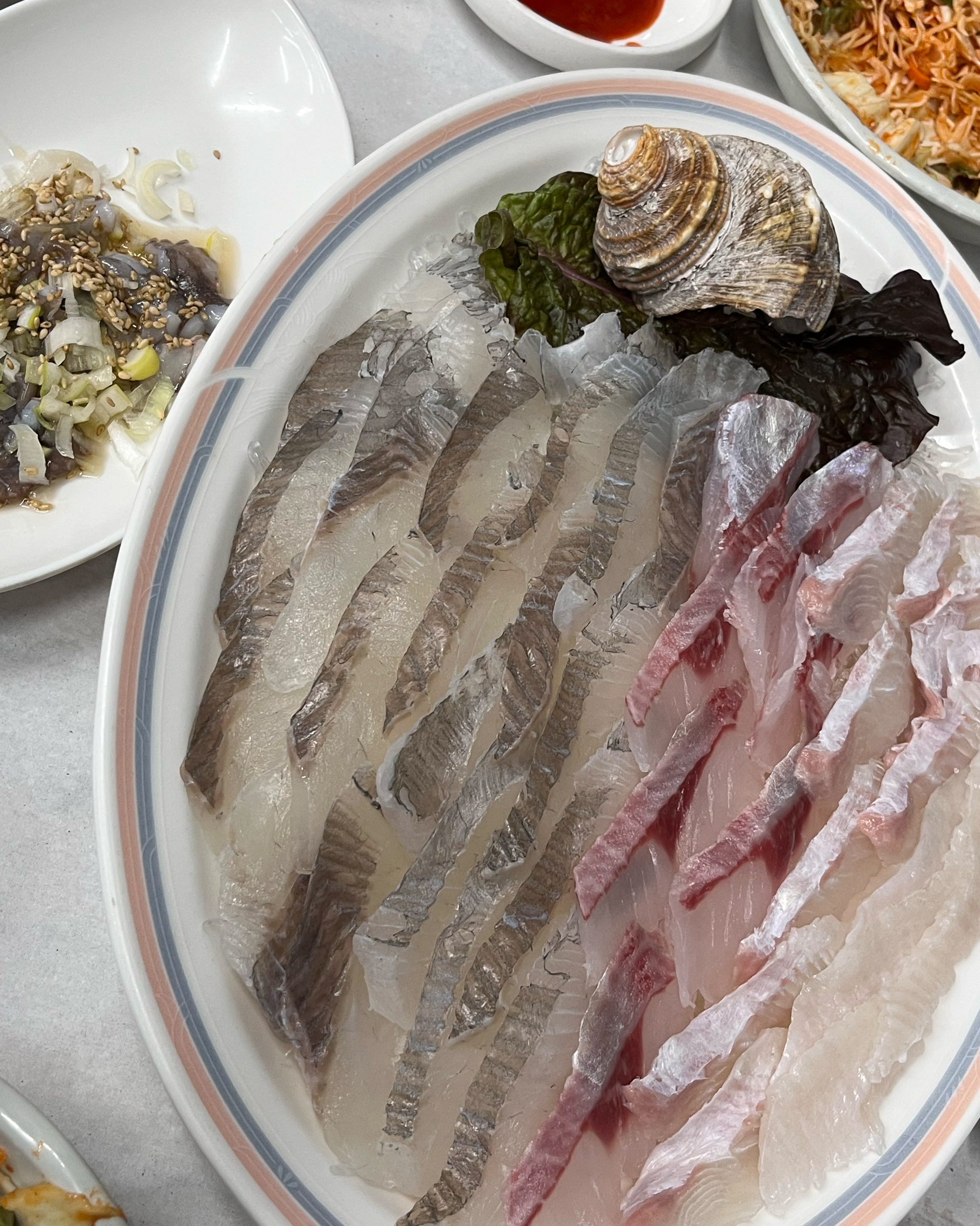 친구랑 여행 와서 회 먹으러 왔는데 너어어어무 맛있었어요오 - 송정 맛집 중앙횟집