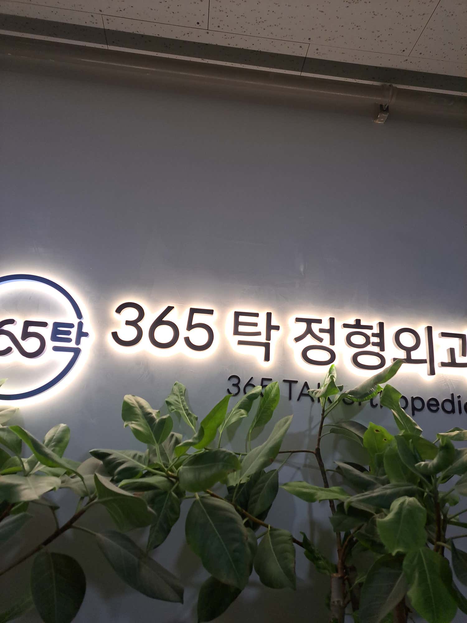 365탁정형외과의원