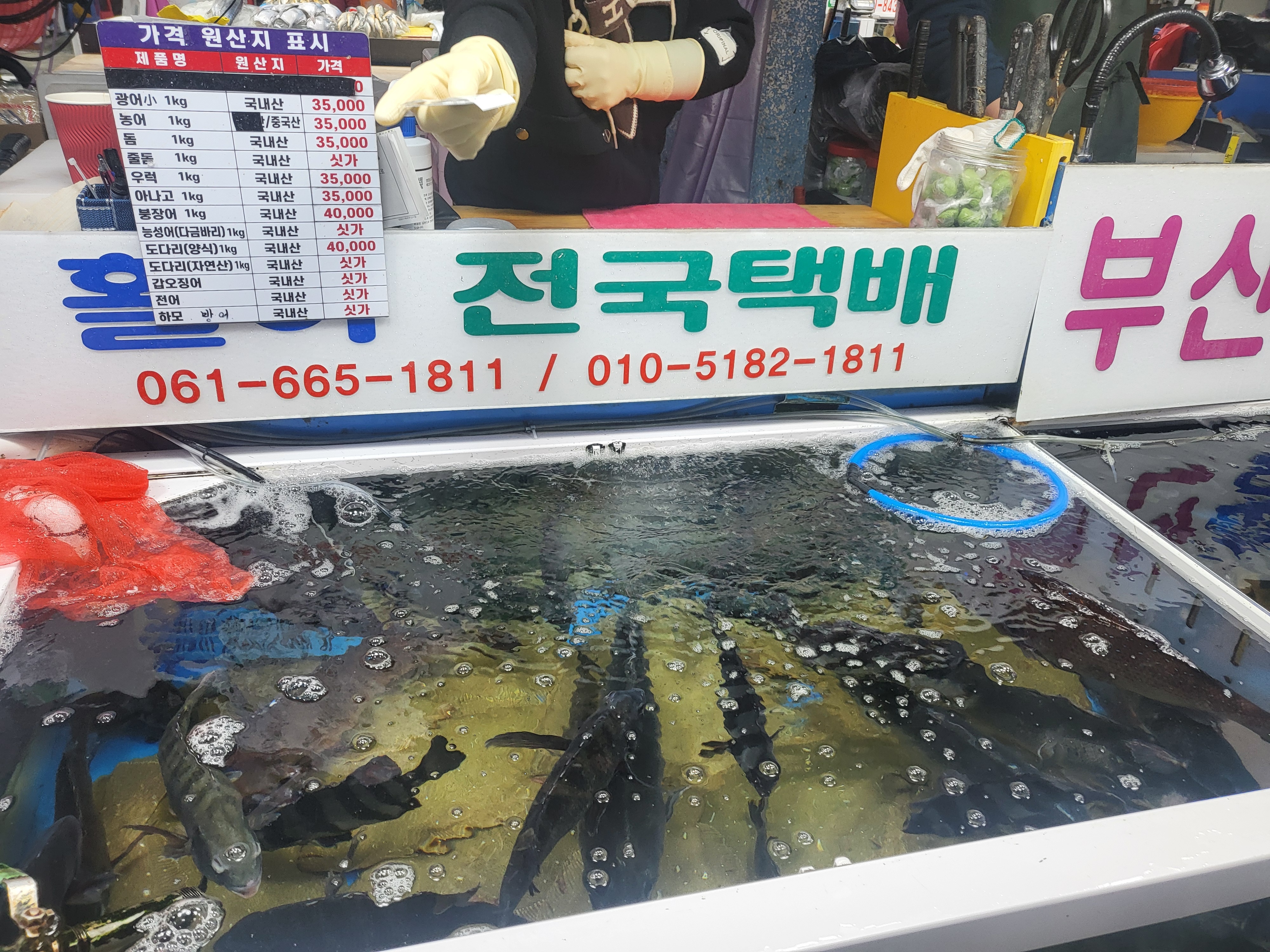 [여수 맛집 부산 송도회센타] 직접 가본 로컬 리뷰