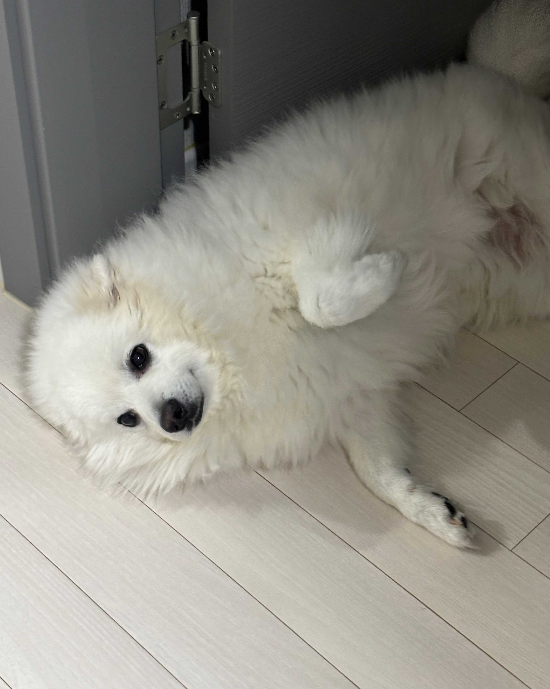 리뷰 사진 1