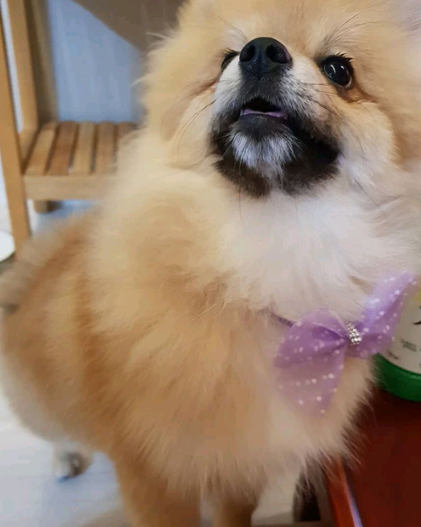 리뷰 사진 1