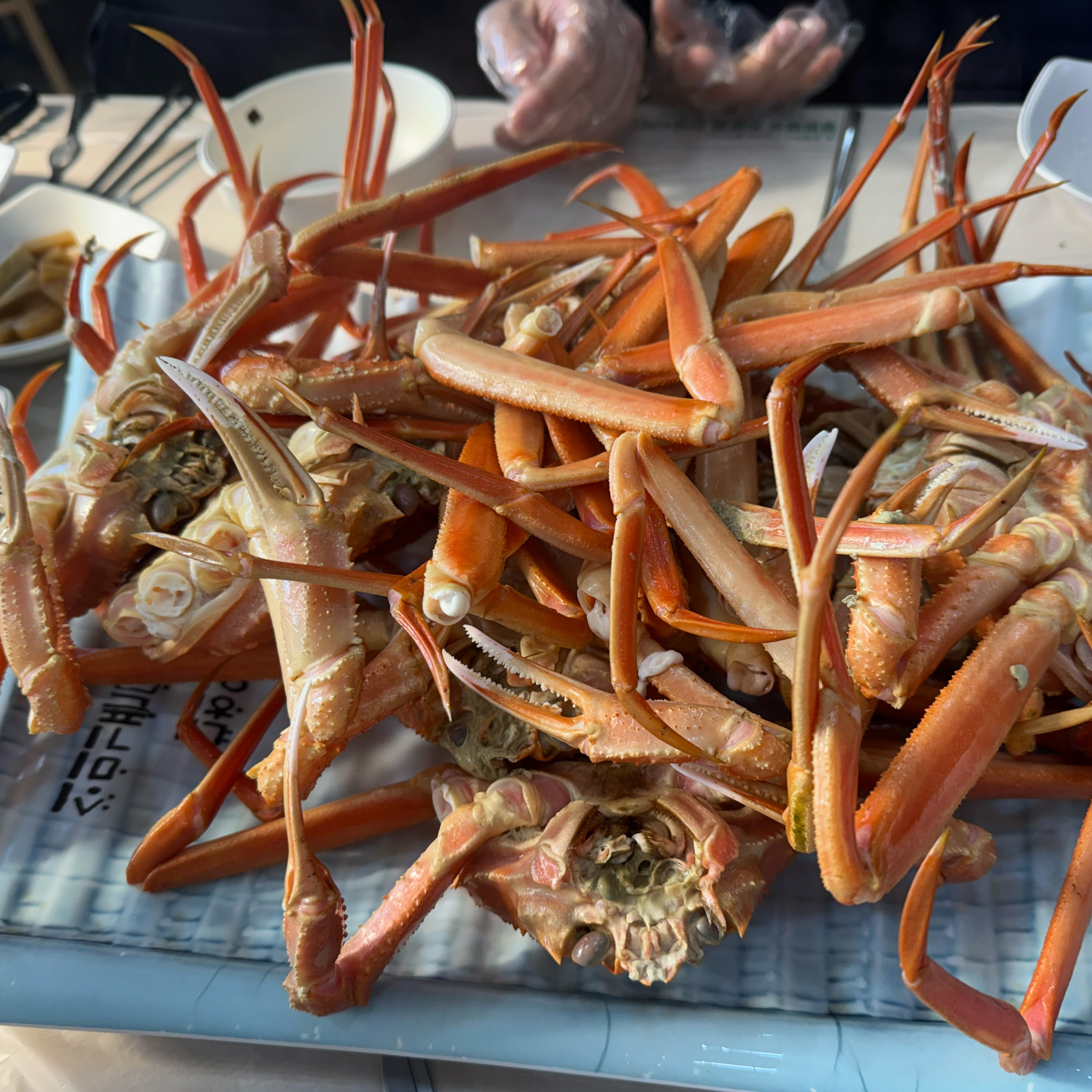 [삼척 맛집 동남호대게] 직접 가본 로컬 리뷰