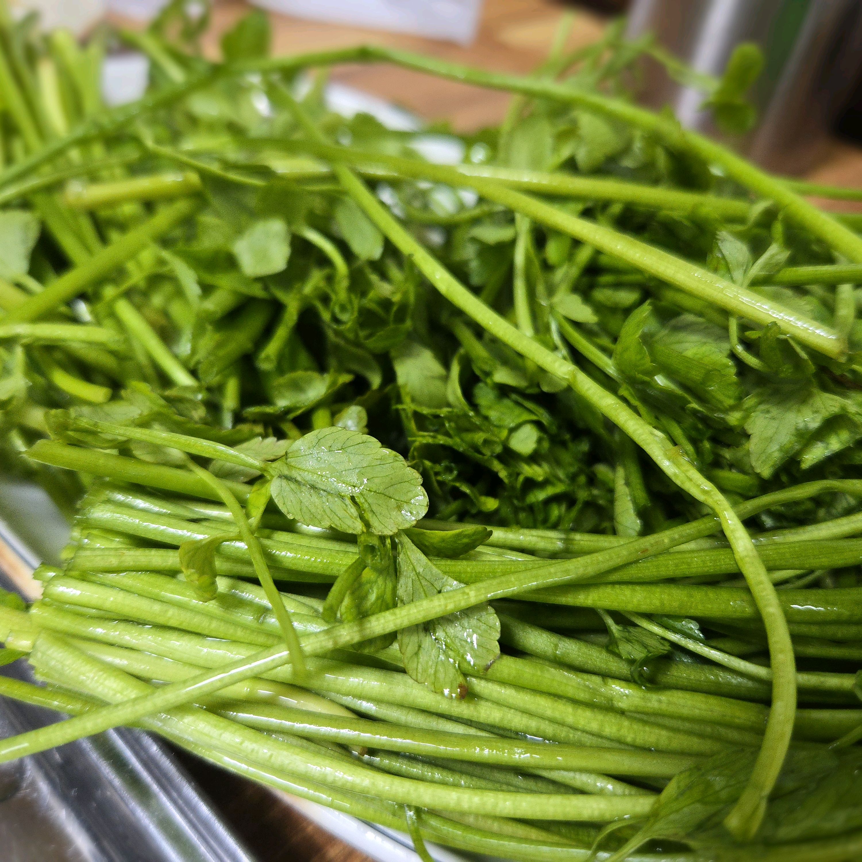 신선한 채소 이미지