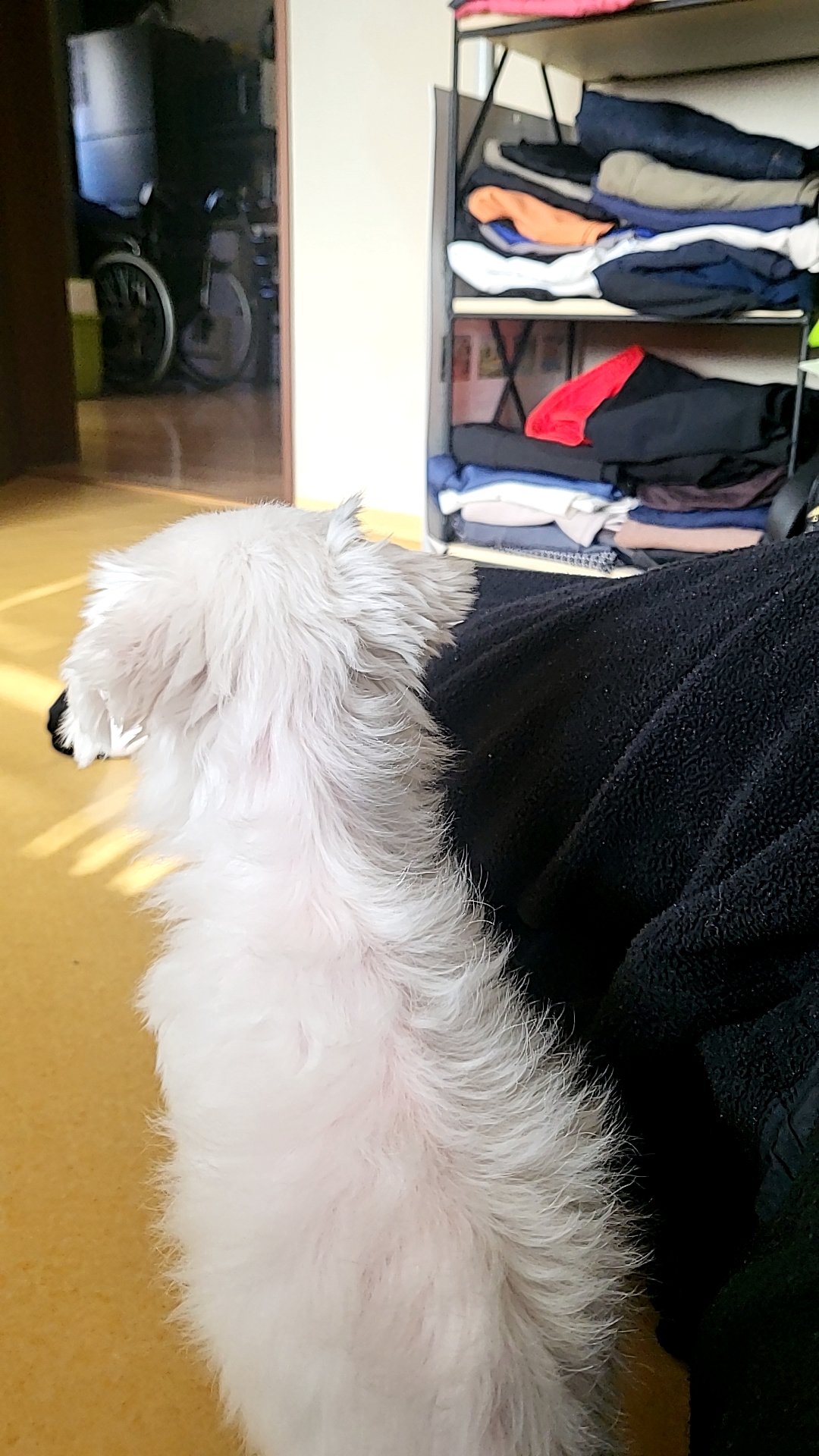 리뷰 사진 1