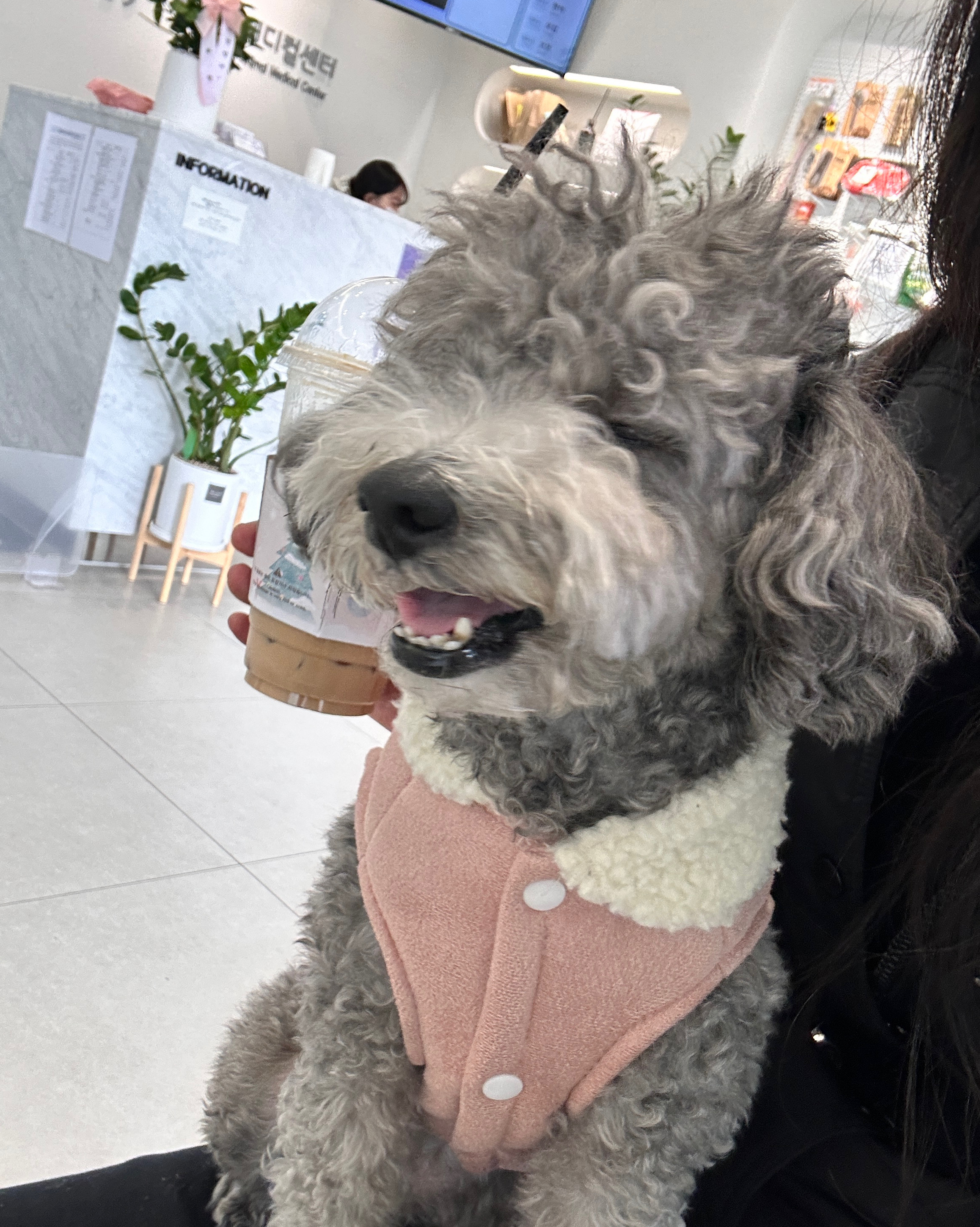 리뷰 사진 1