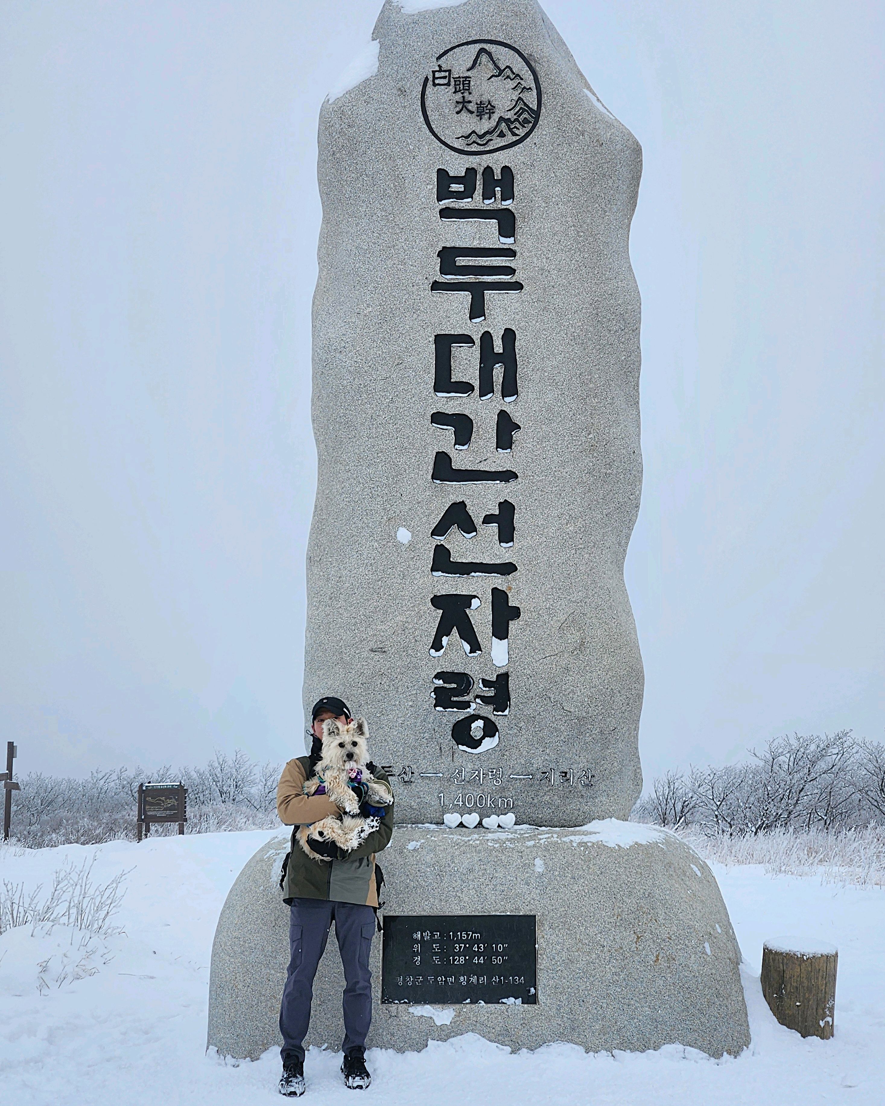 쥬라기동물병원 사진 4