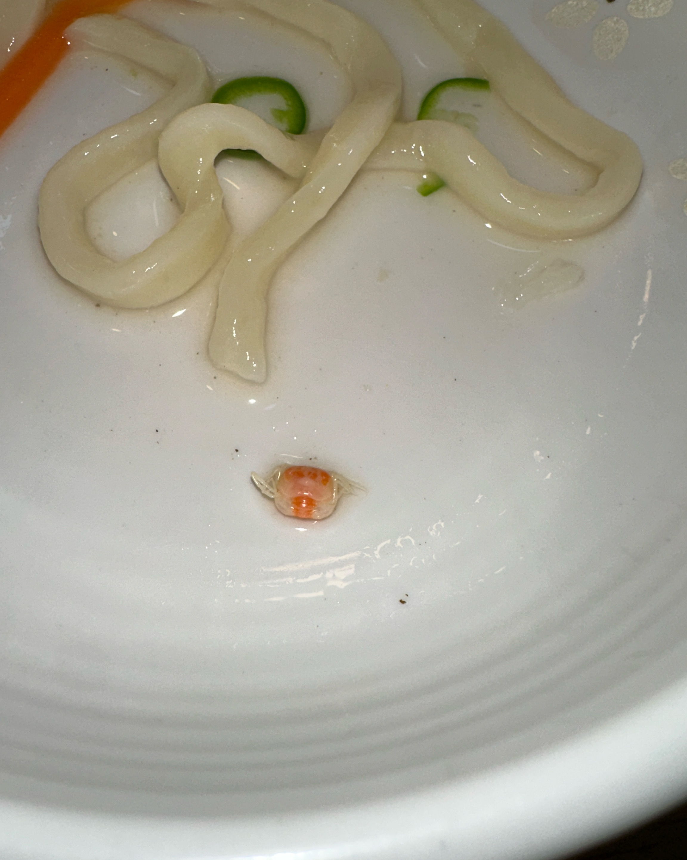 서현역 맛집 소담칼국수 내돈내산 리얼후기