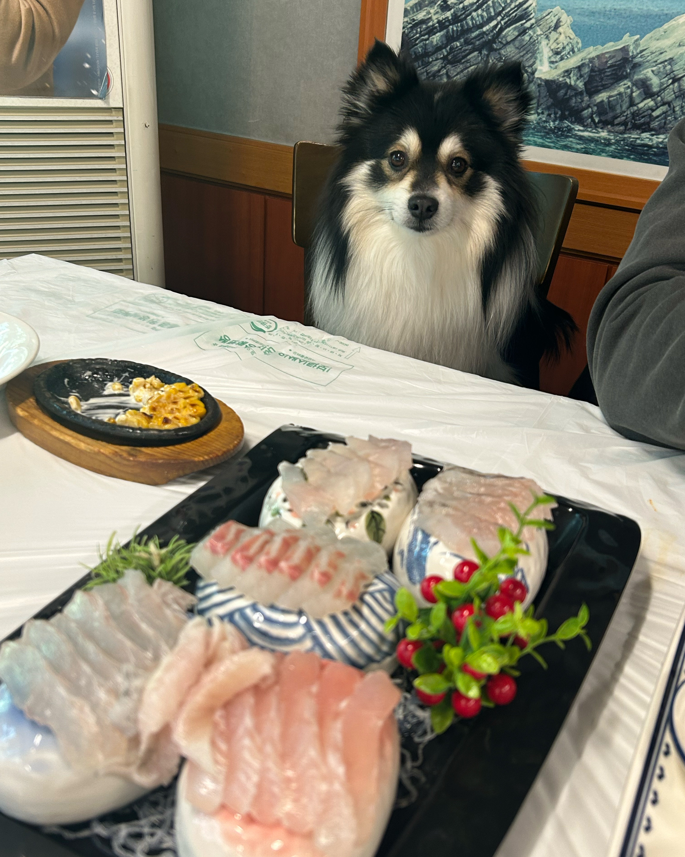 반려동물 동반되는 대게 맛집 찾다가 오게된 곳이에요❤️ - 경포대 맛집 경포대부산처녀횟집