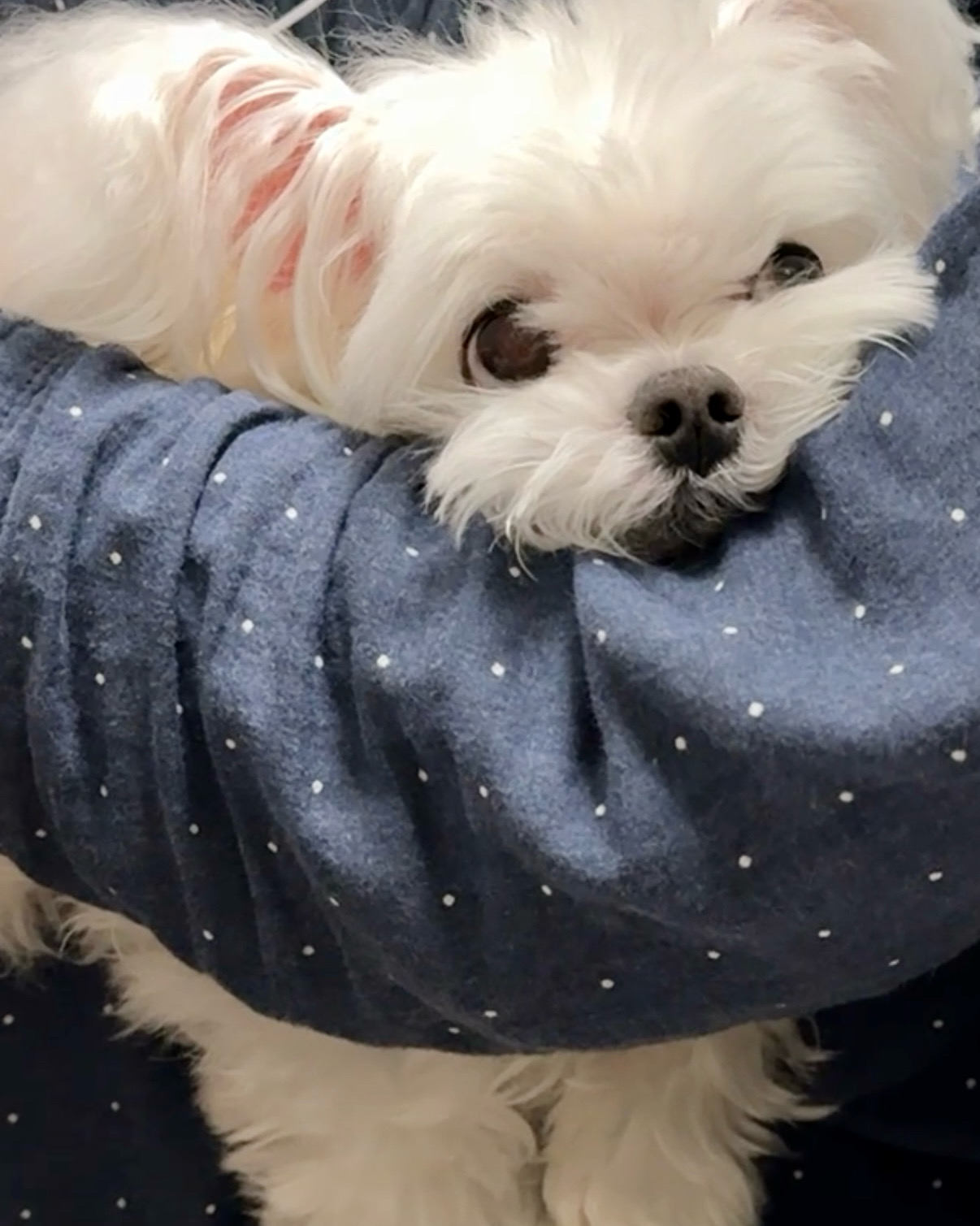 리뷰 사진 1
