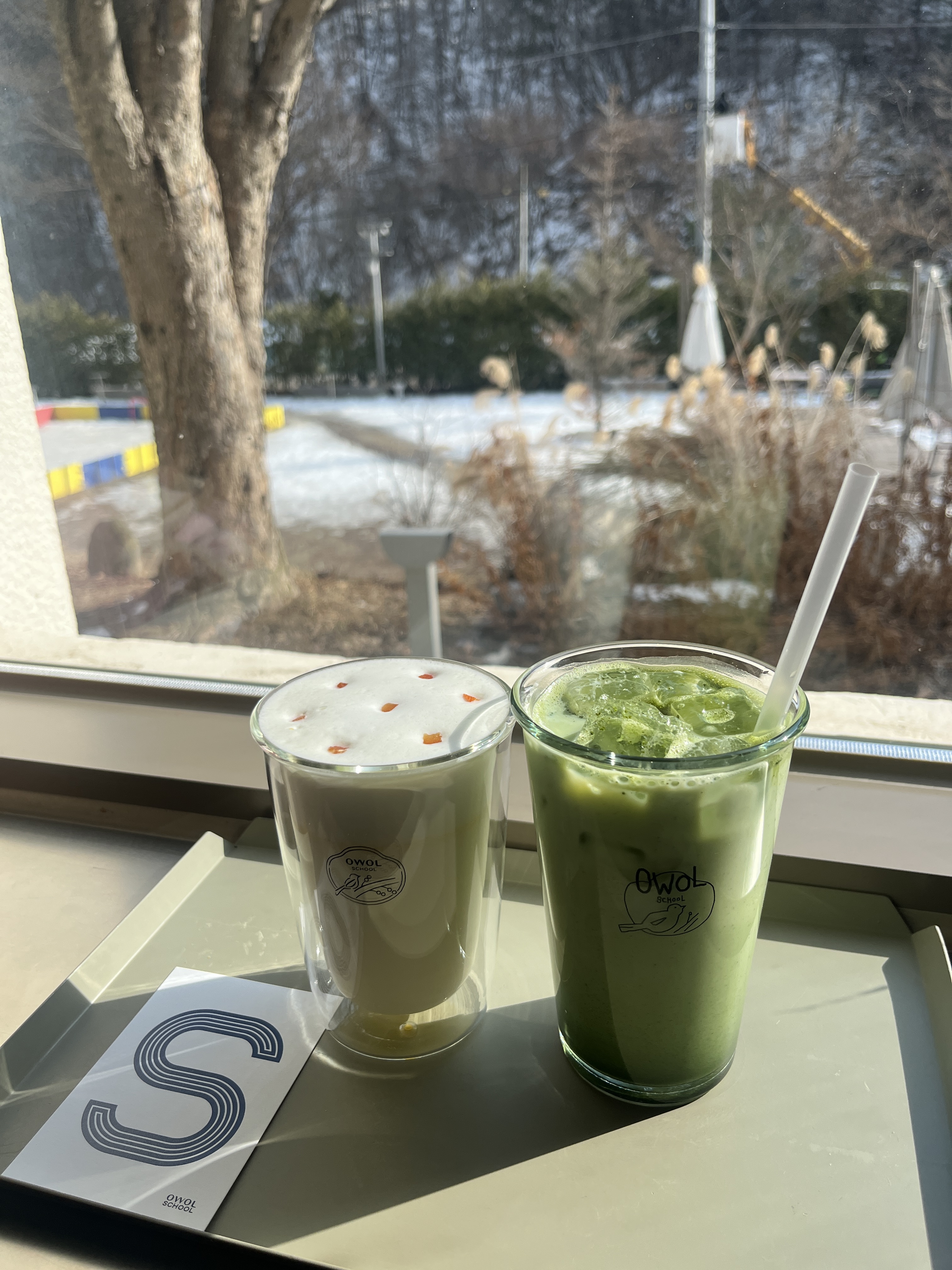 [춘천 맛집 오월학교] 직접 가본 로컬 리뷰
