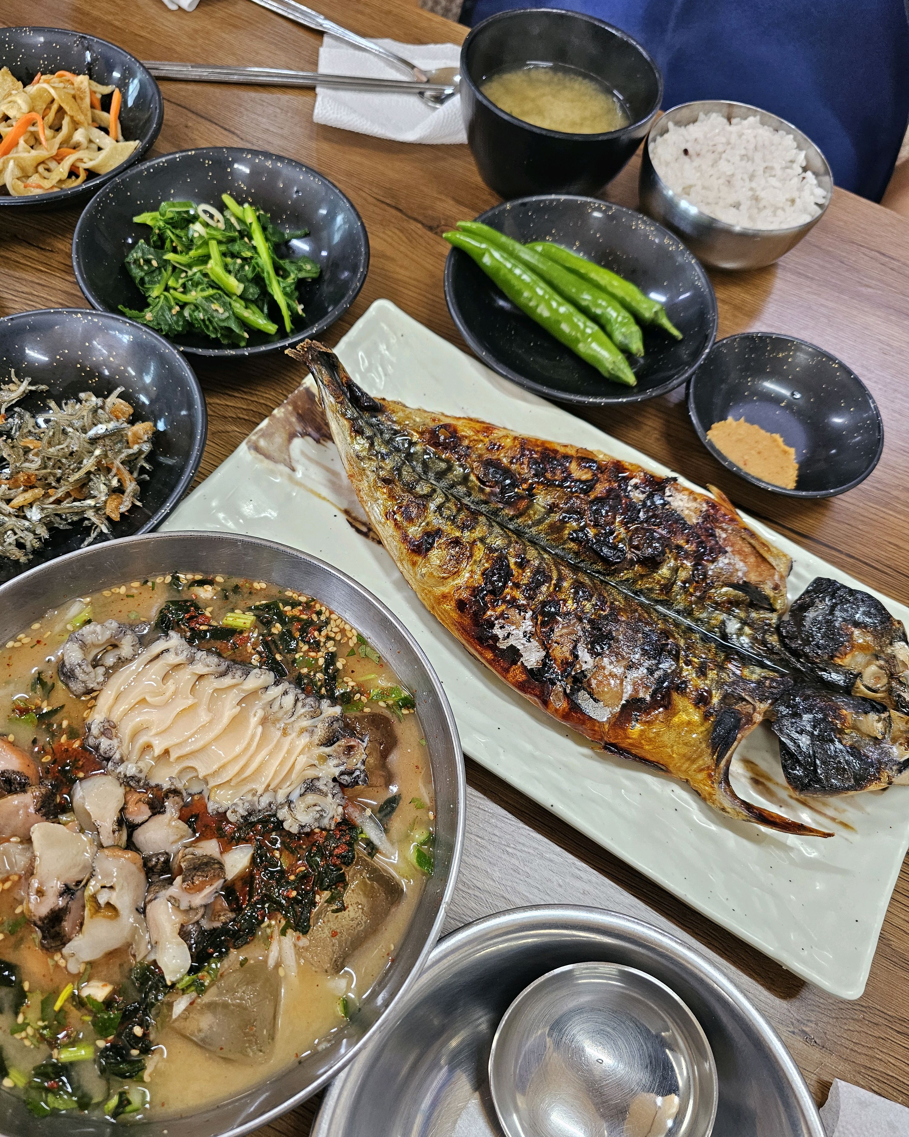 물회도 싱싱하고 특히 고등어구이 쫀맛😋 - 제주 맛집 공천포식당