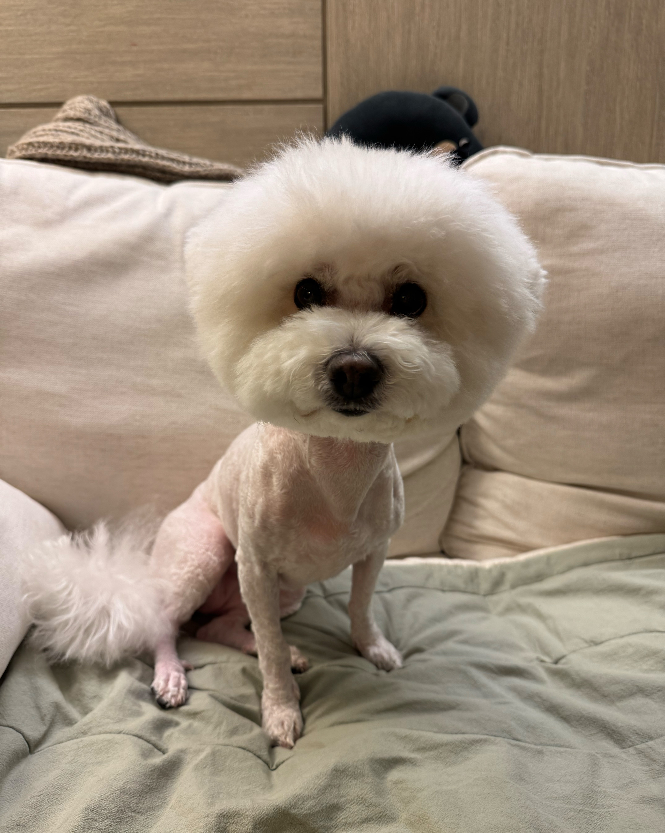 리뷰 사진 1