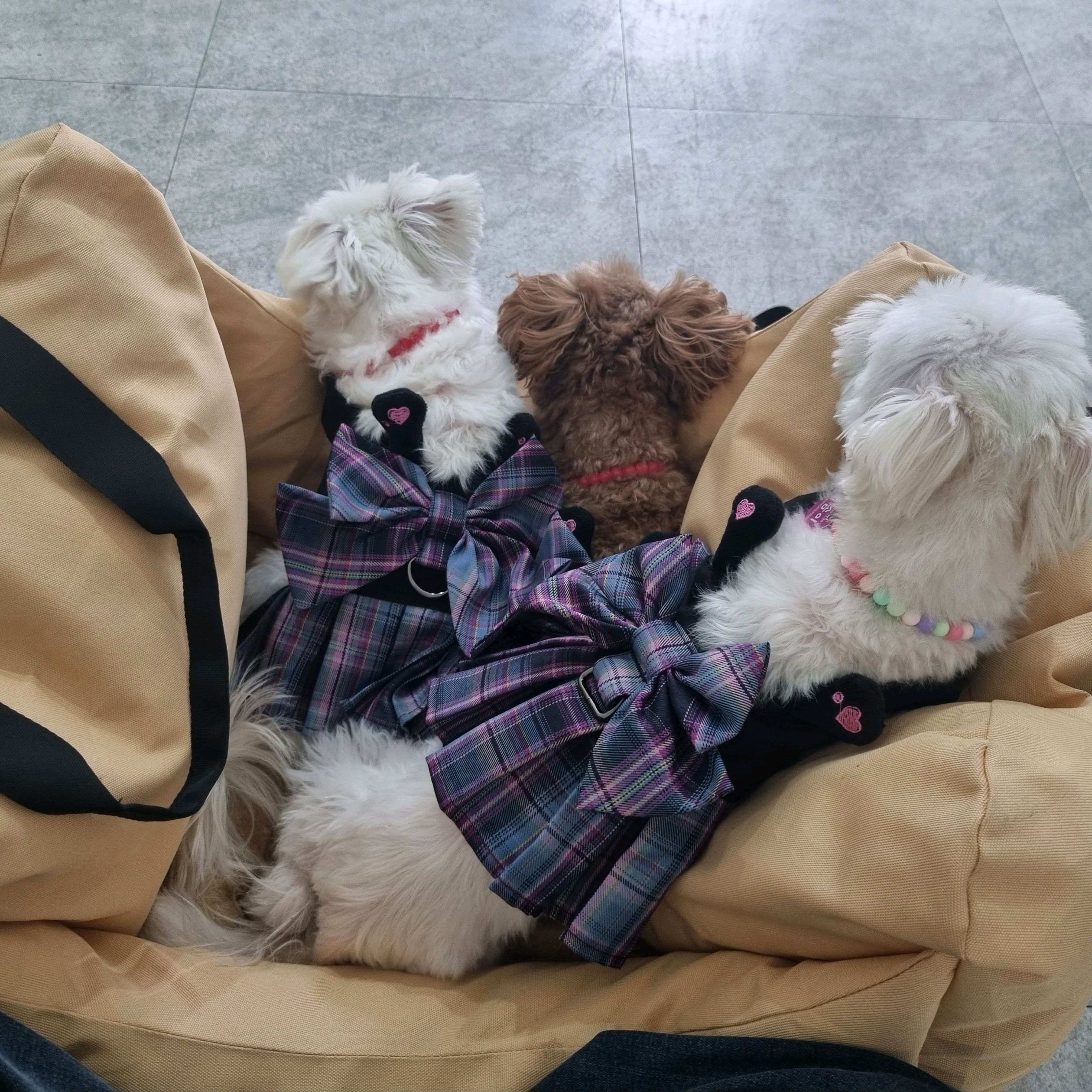 리뷰 사진 1