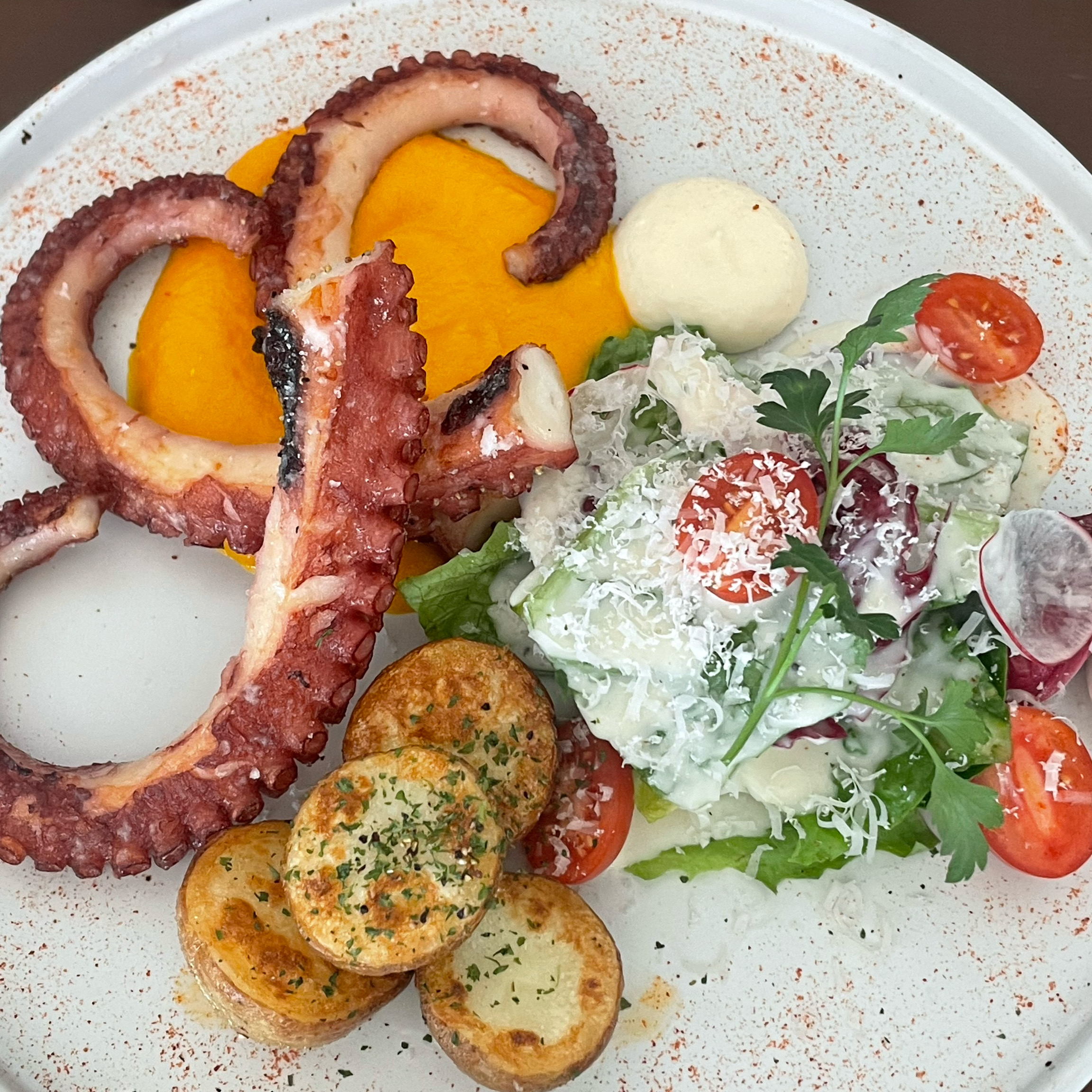 꼬니숑 몇번 방문해봤지만 문어스테이크는 처음 먹어보는데 정말 맛있었어요💗 - 불당동 맛집 꼬니숑