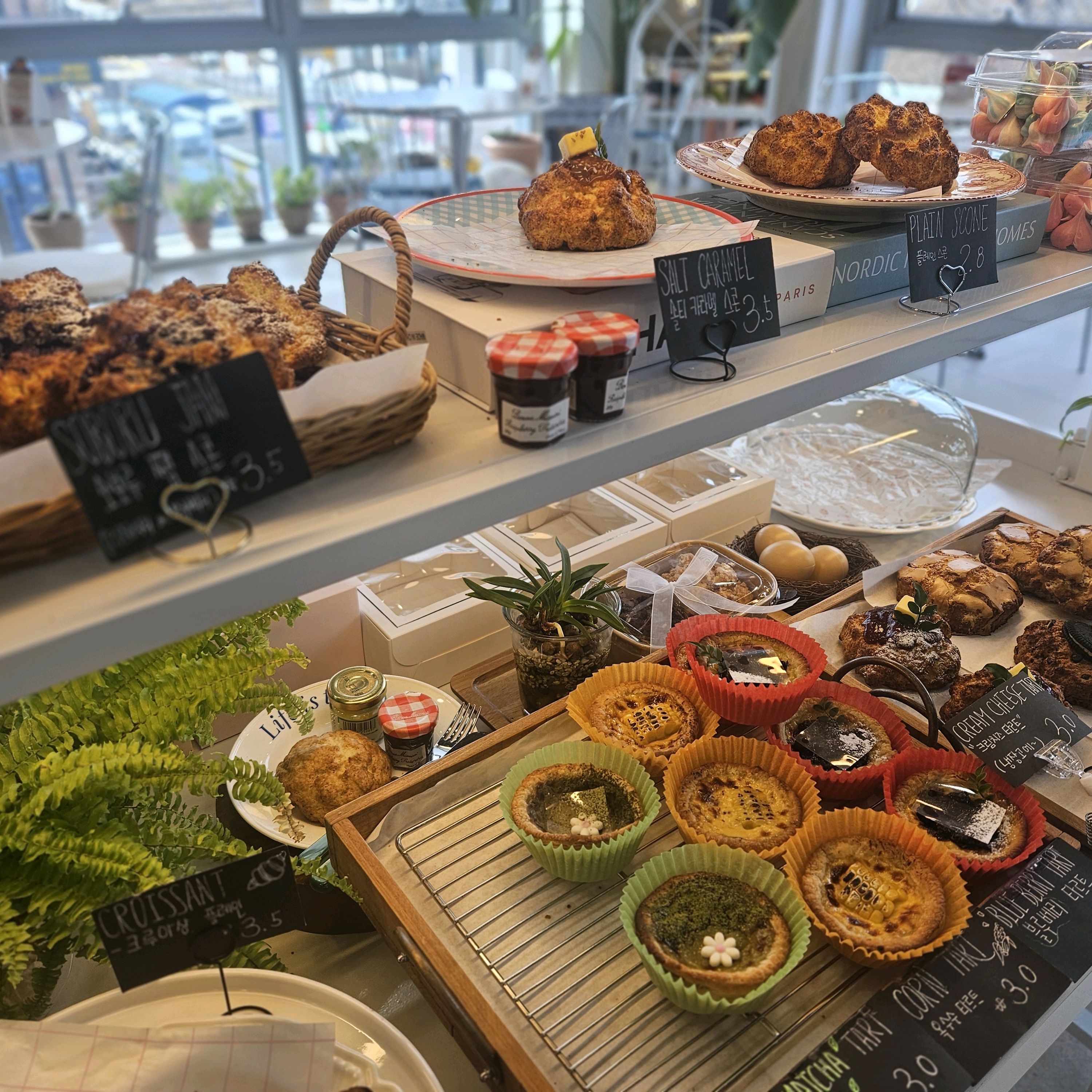 [삼척 맛집 딜로드] 직접 가본 로컬 리뷰