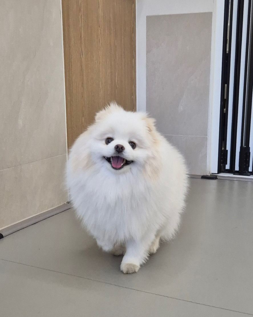 리뷰 사진 3